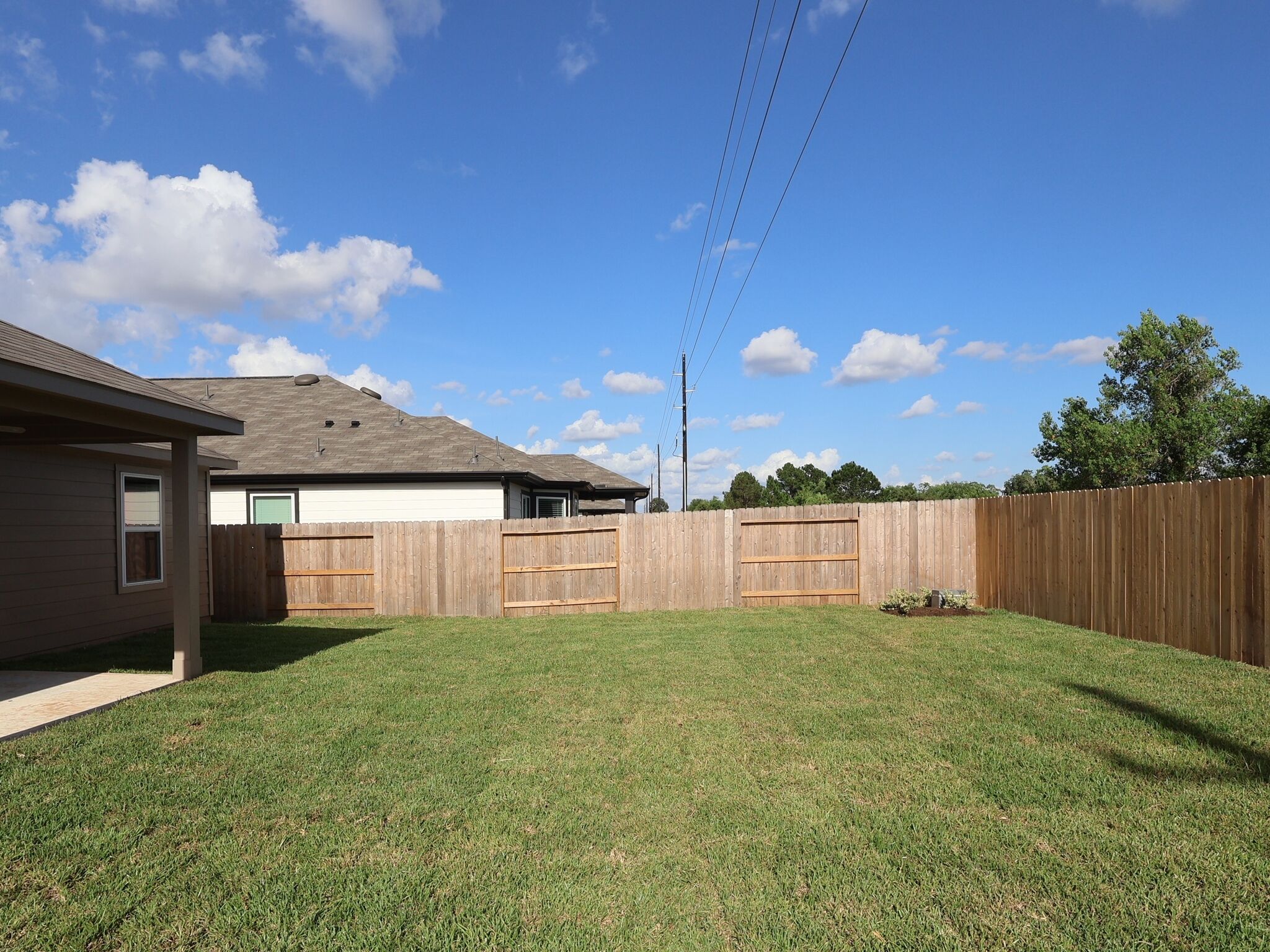 Backyard