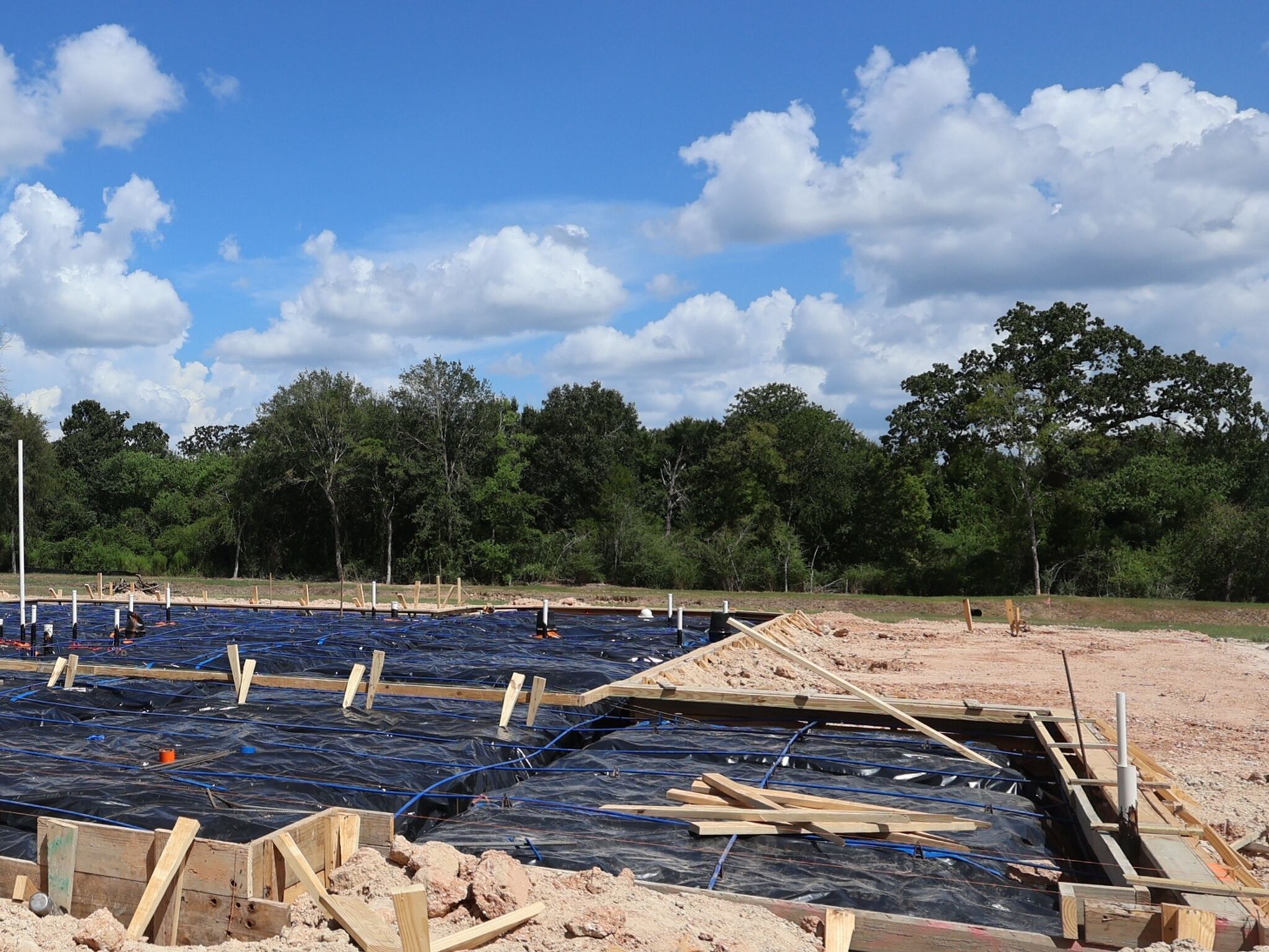 Homesite