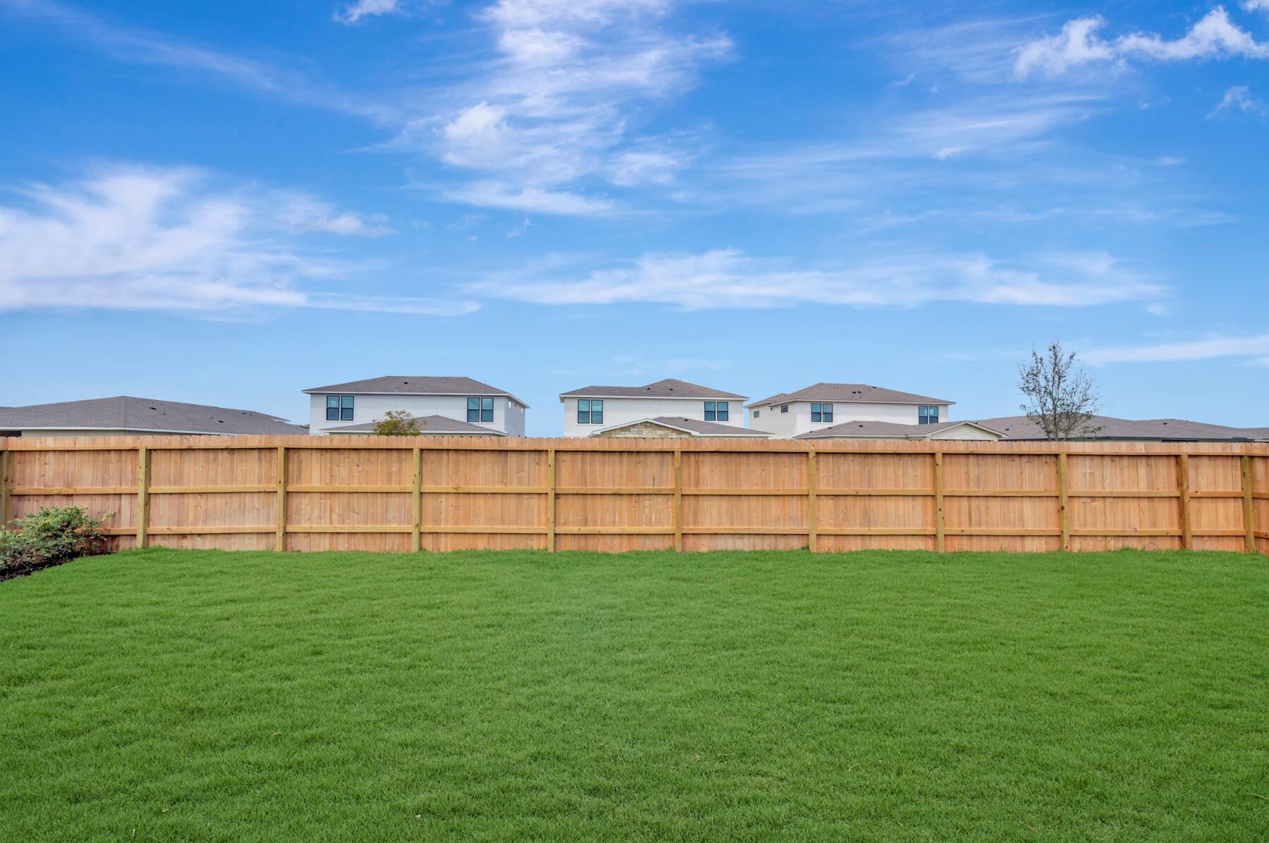 Backyard