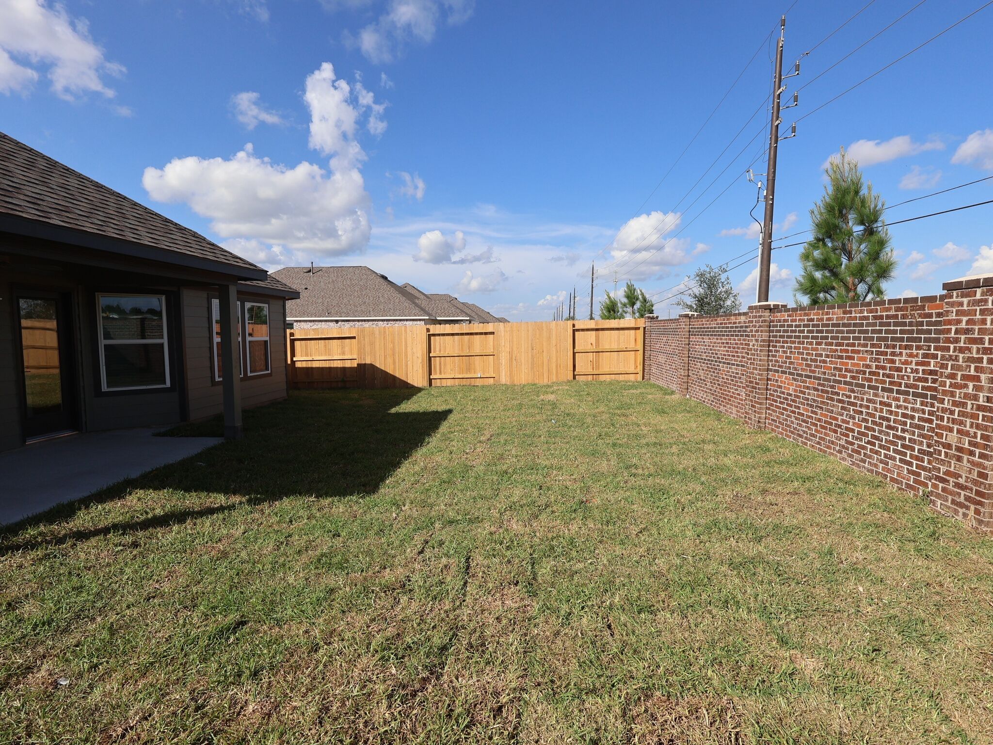 Backyard