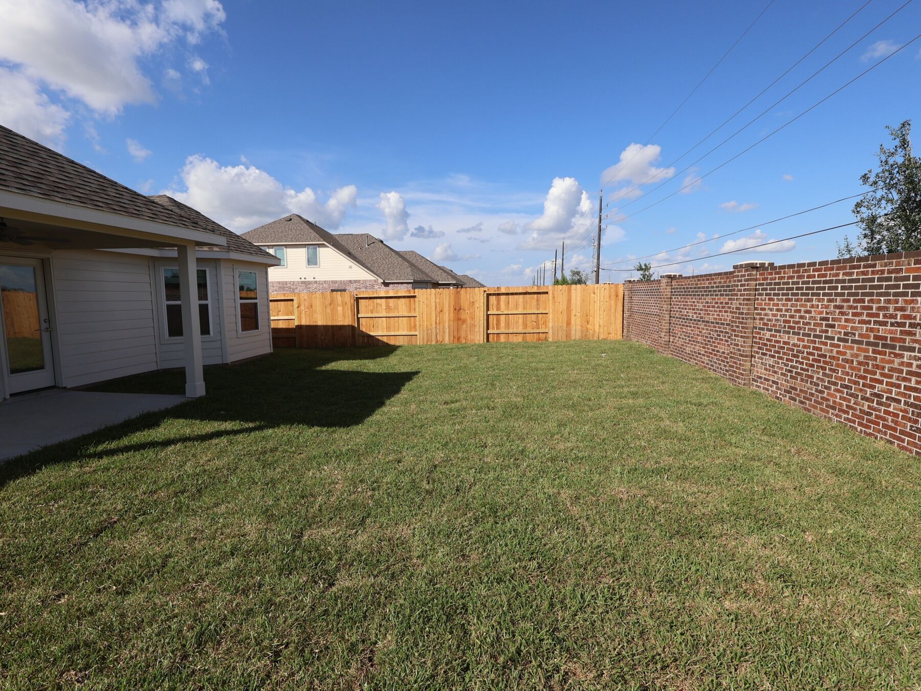 Backyard