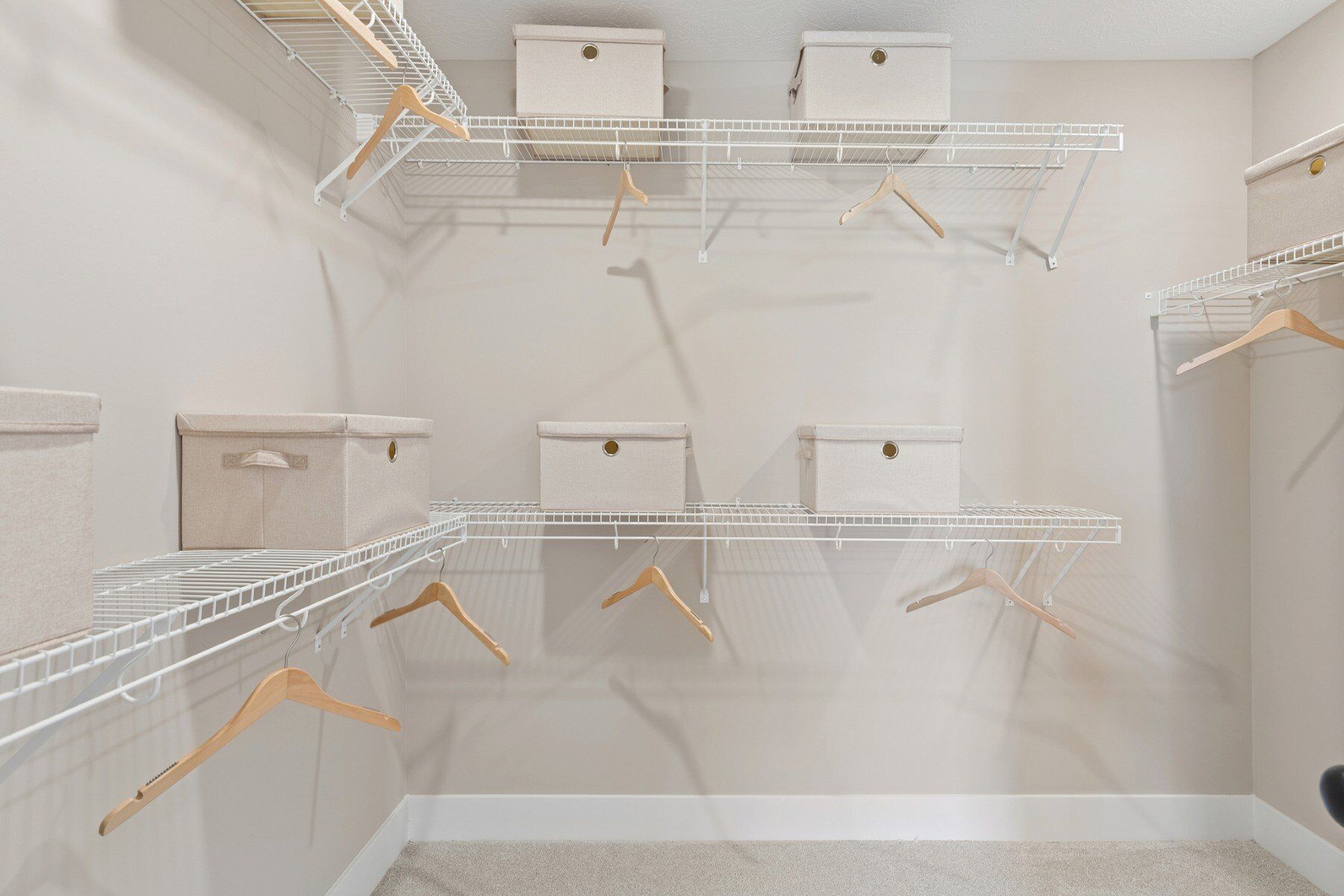 Owner's Closet