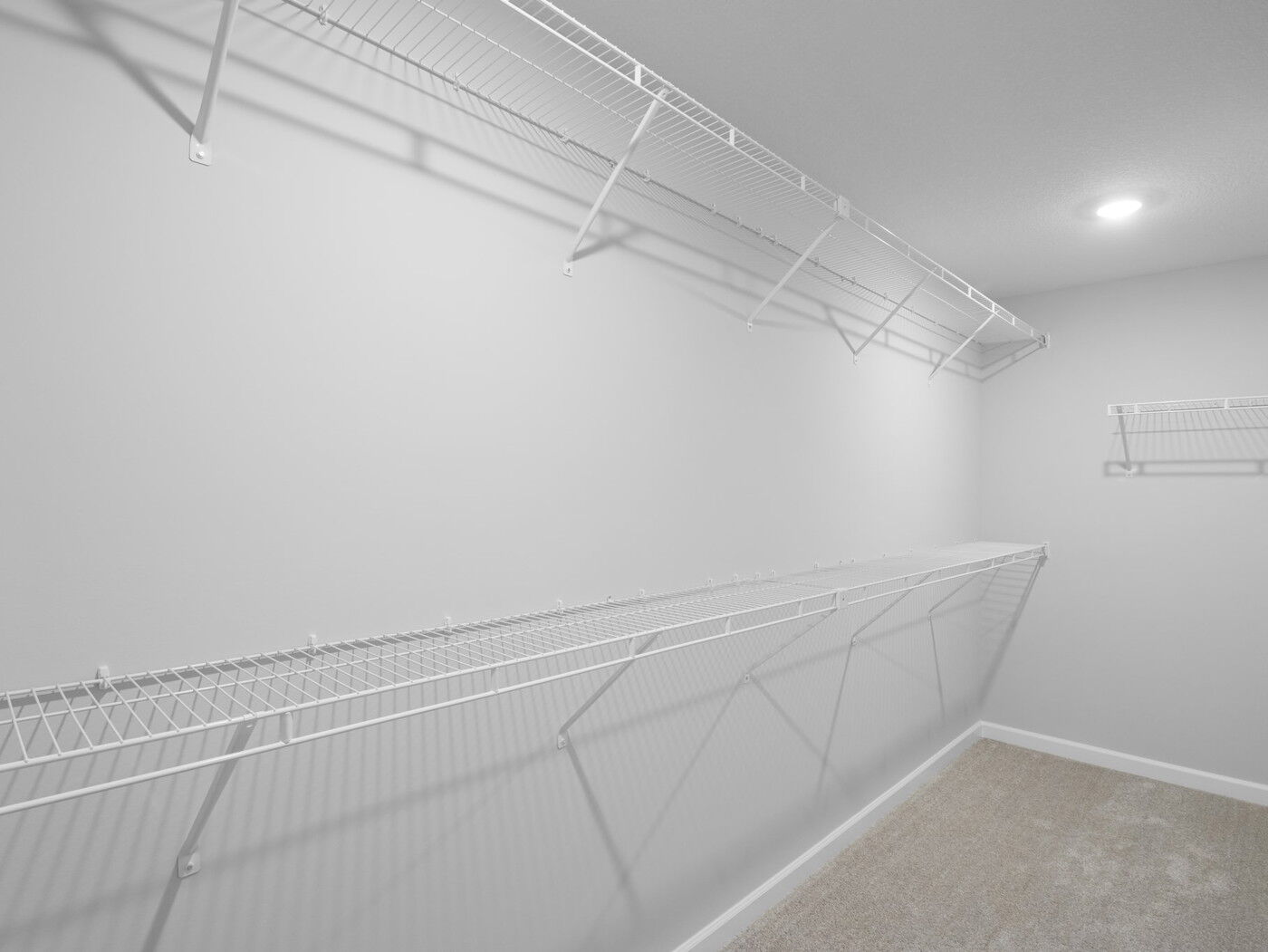 Owner's Closet
