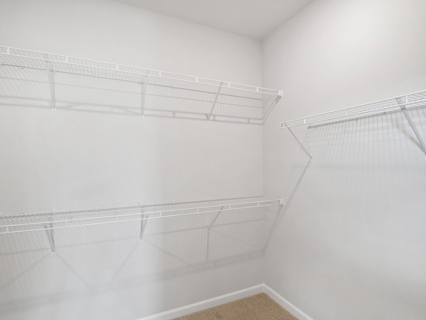 Owner's Closet 