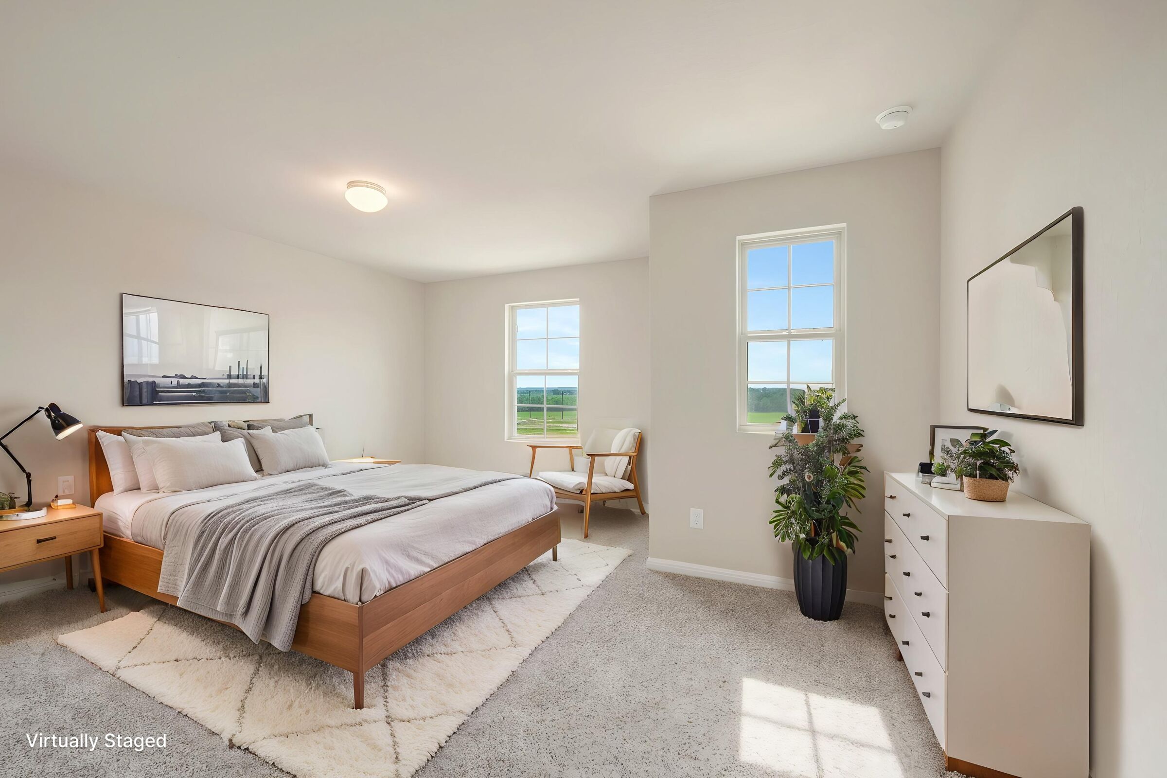 Virtual Staged Representational Photos
