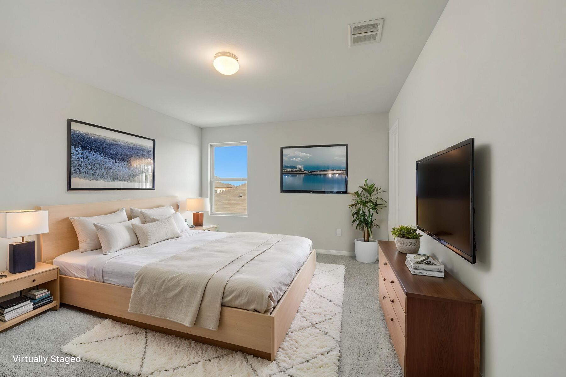 Virtual Staged Representational Images