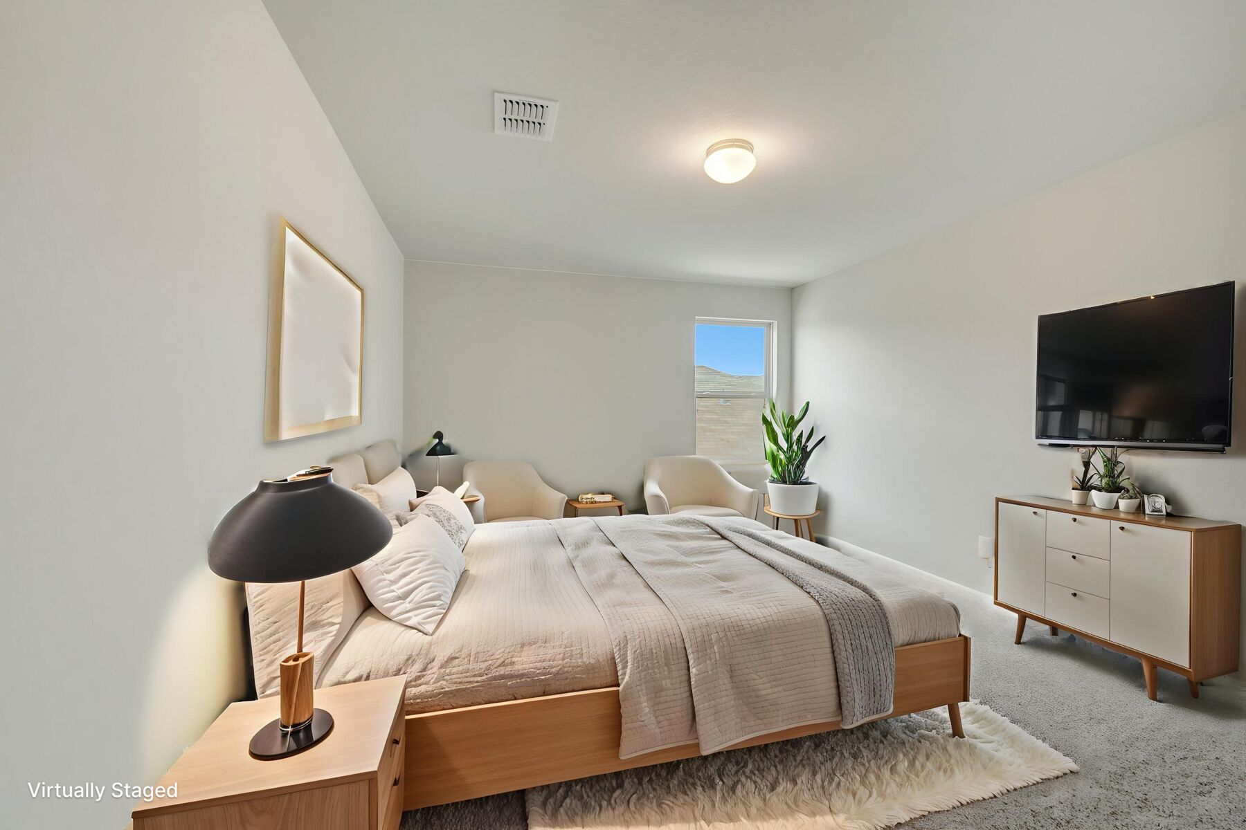 Virtual Staged Representational Images