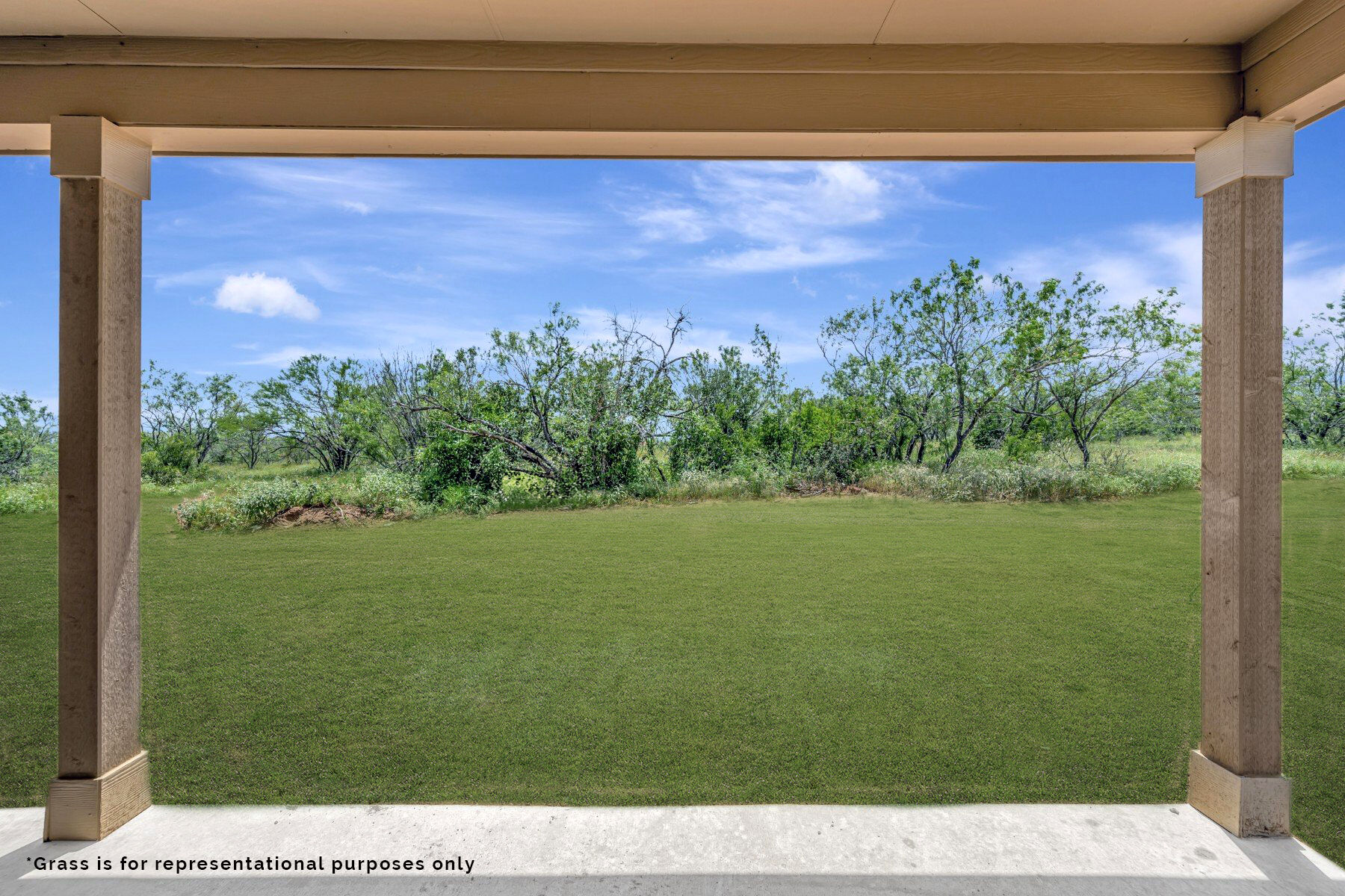 Representational Grass Images
