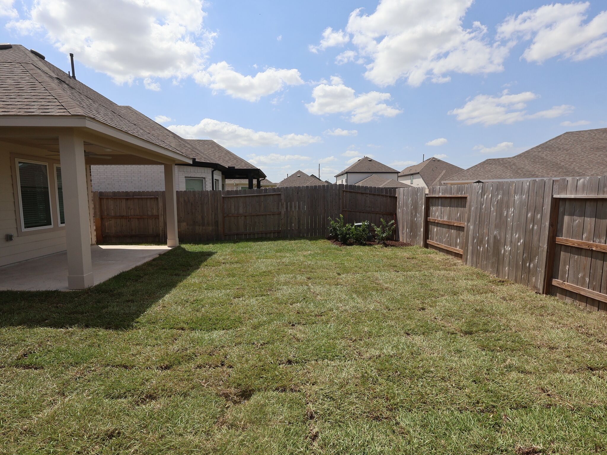 Backyard