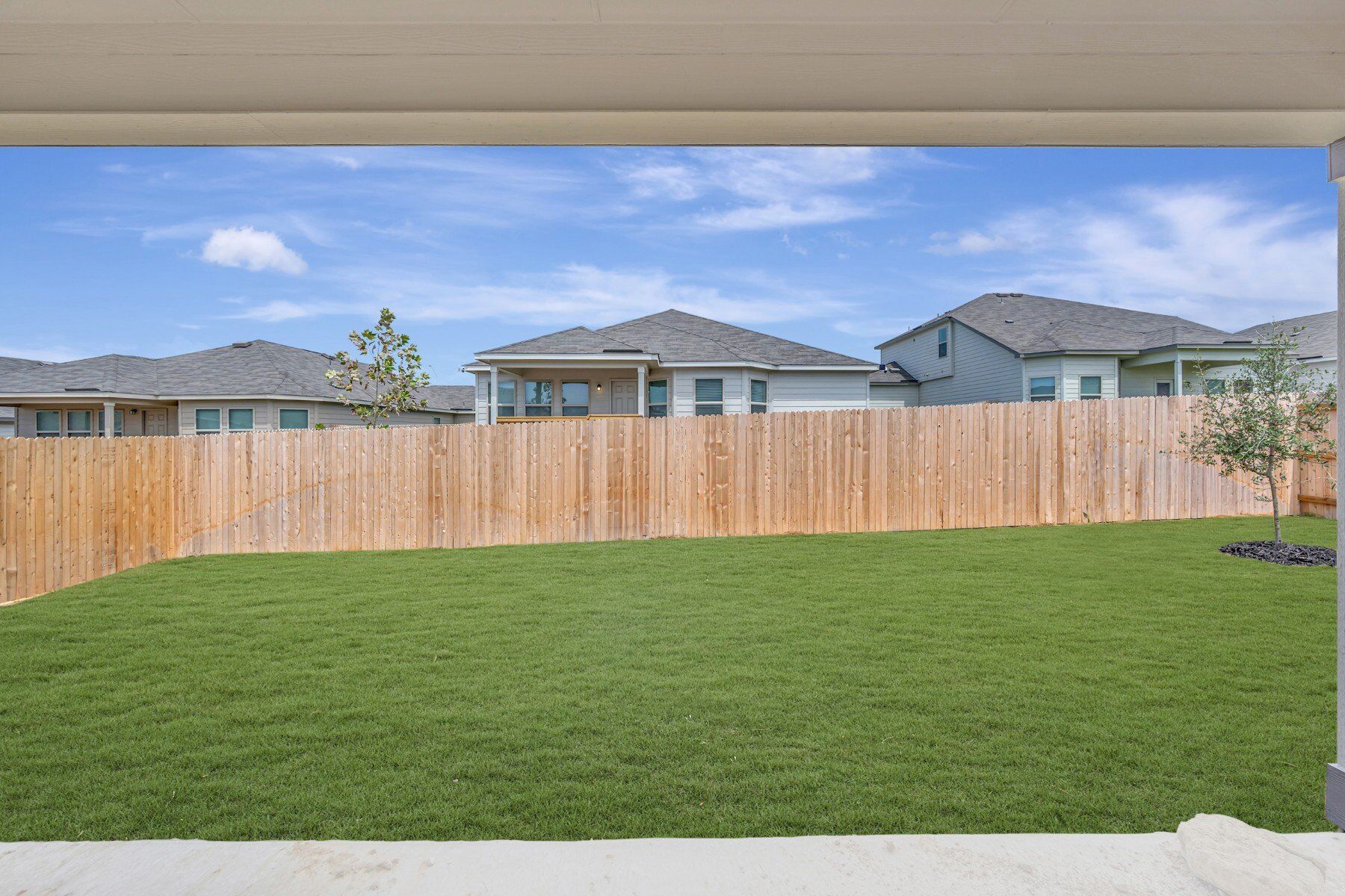 Backyard