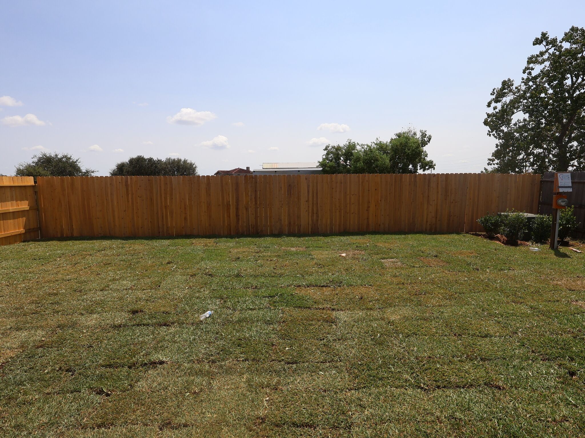 Backyard
