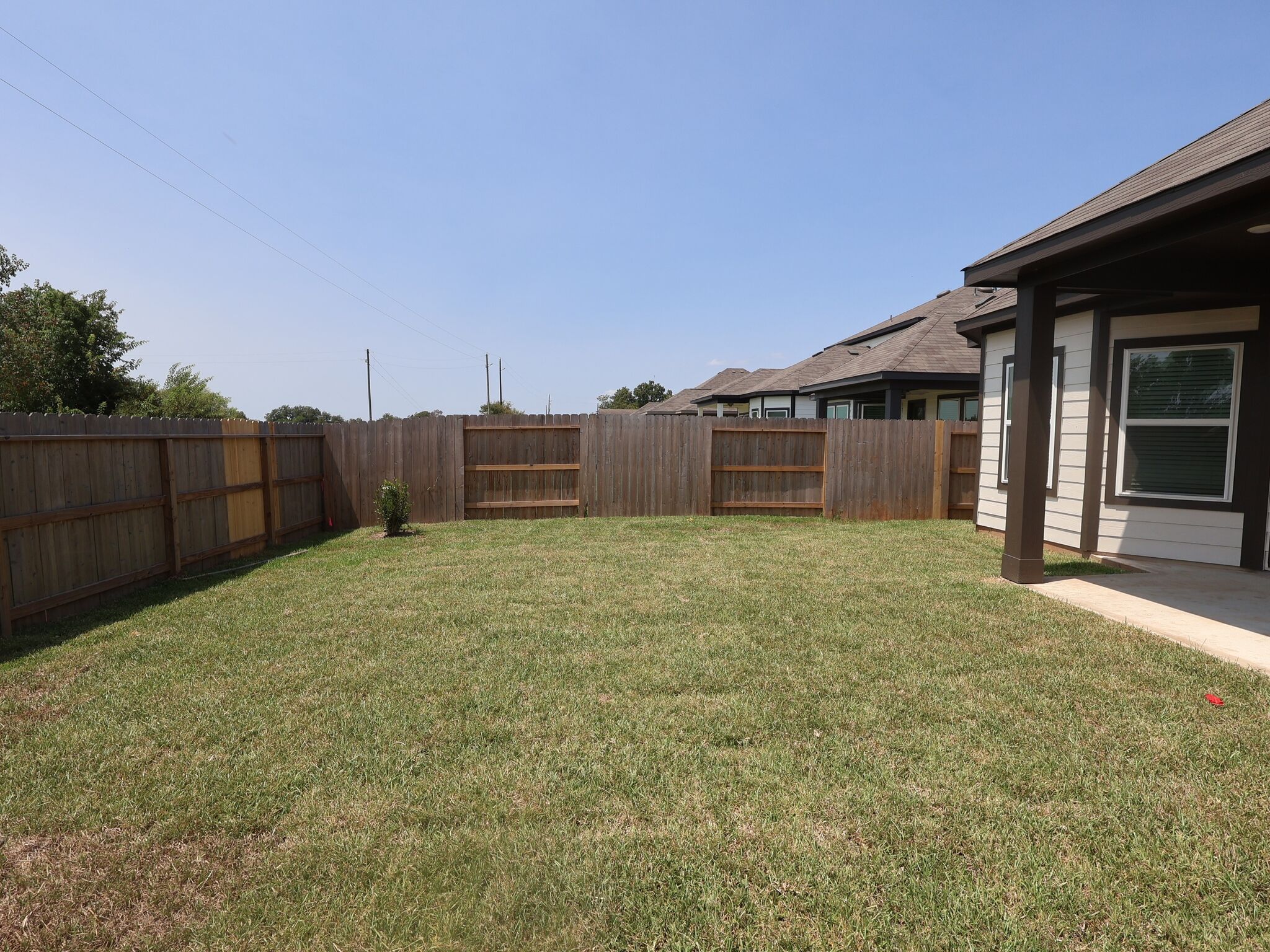 Backyard