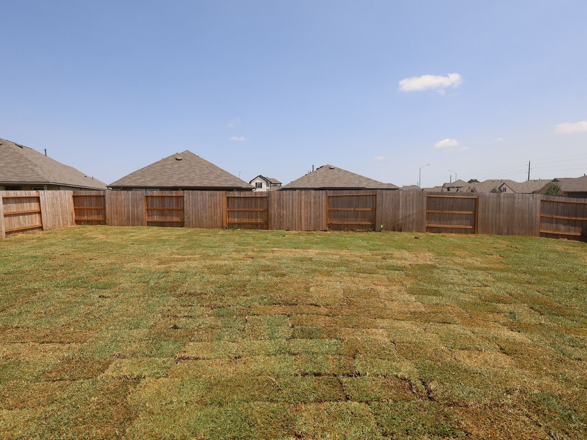 Backyard