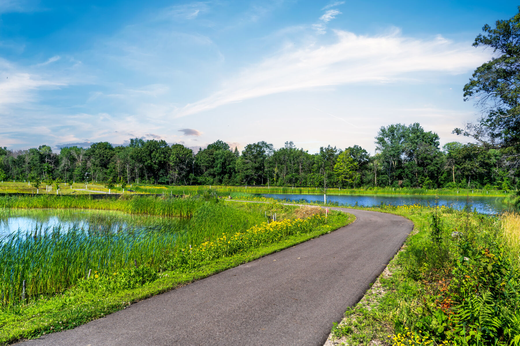 Walking Trail