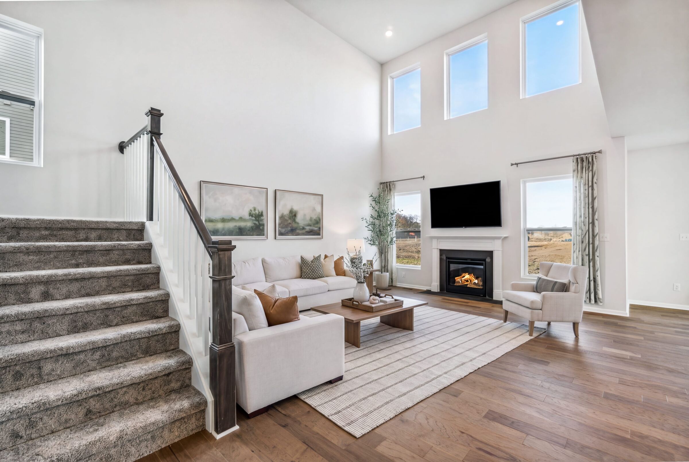Aspen Plan- Virtually Staged