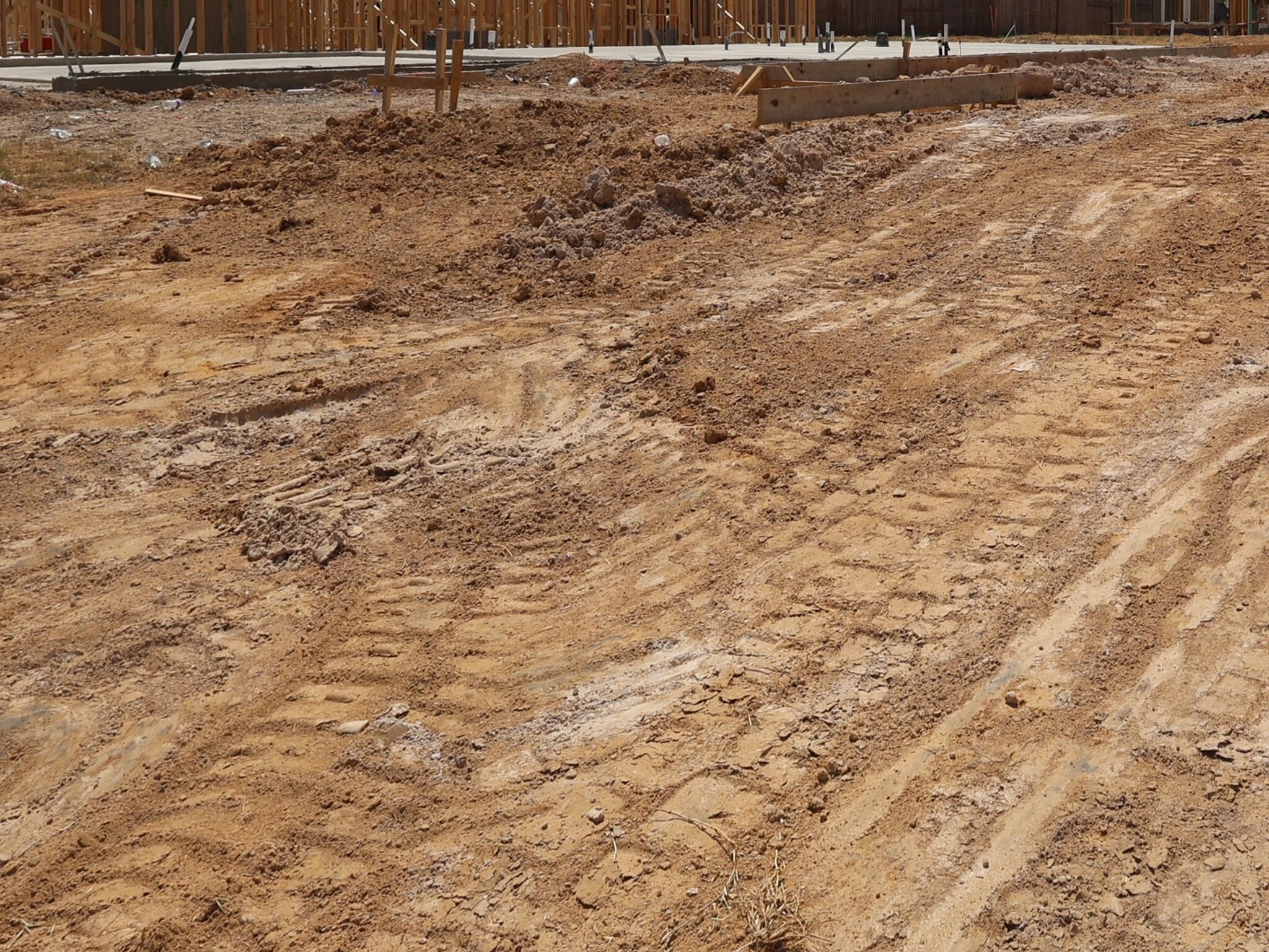 Homesite