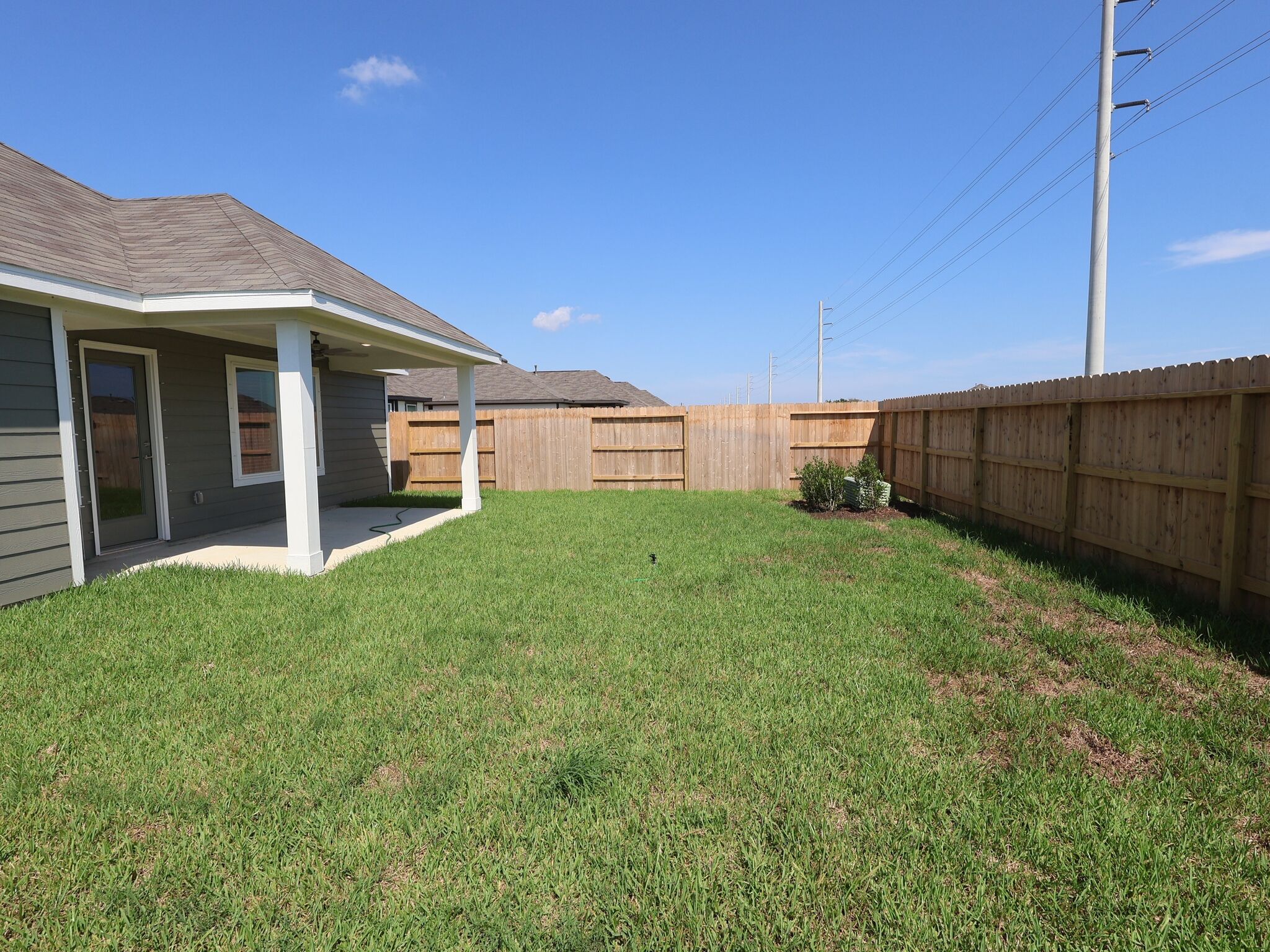 Backyard