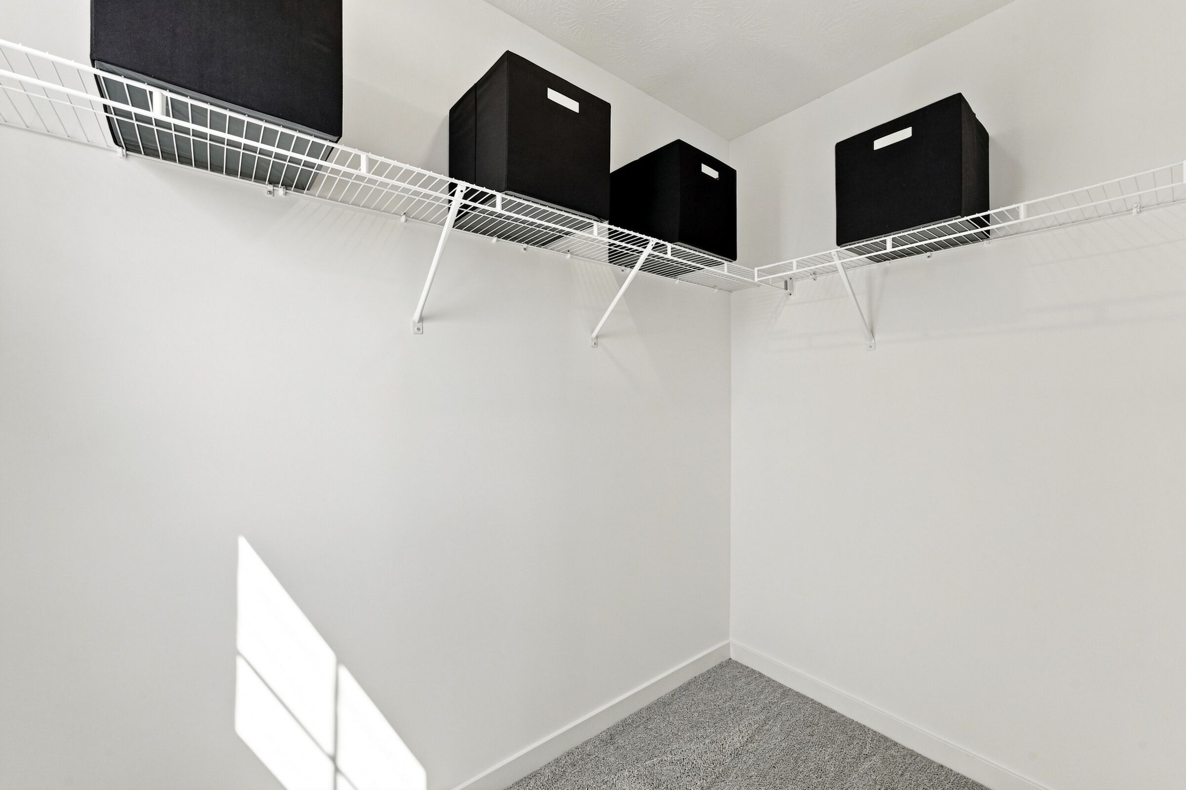 Owner's Closet