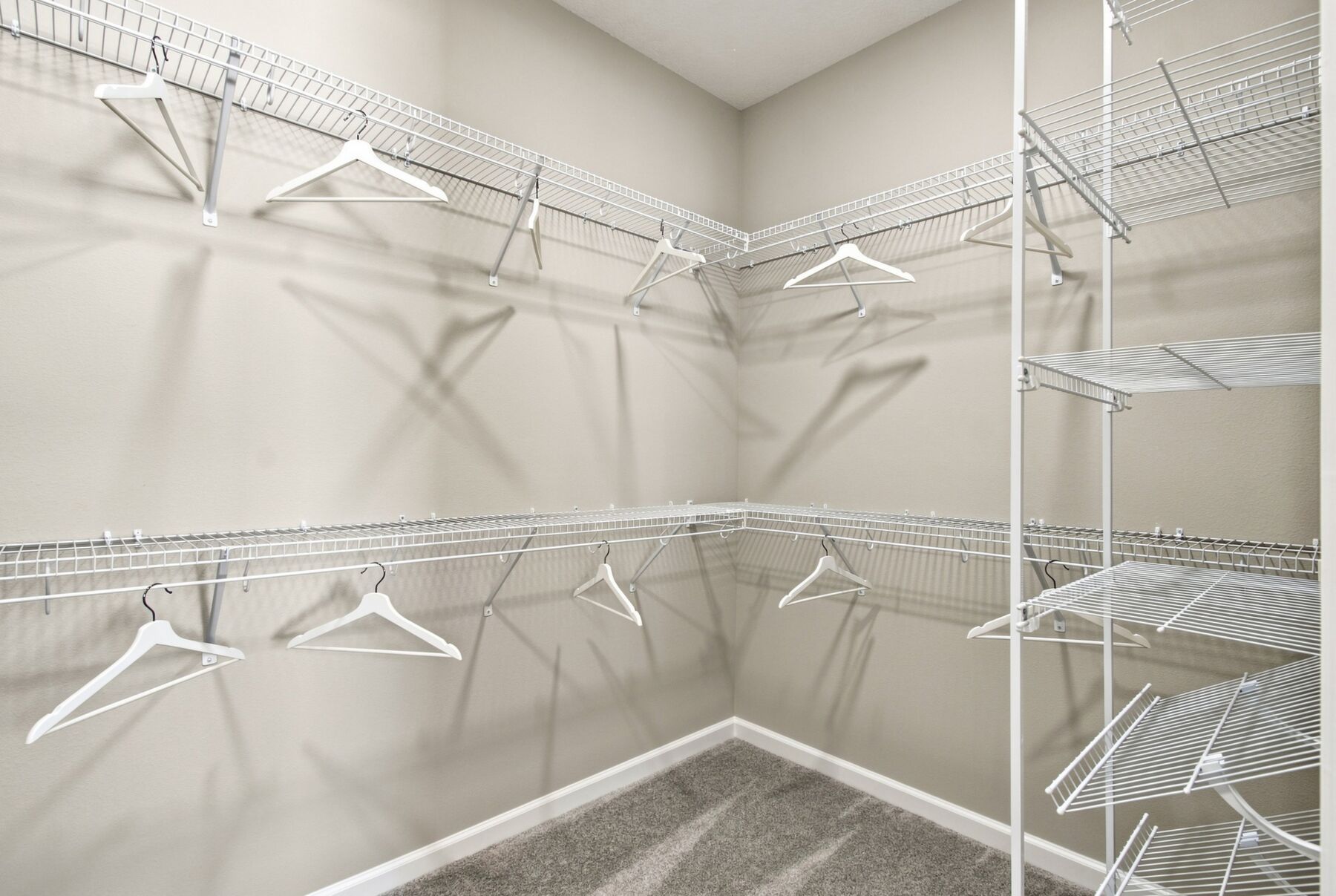 Owner's Closet