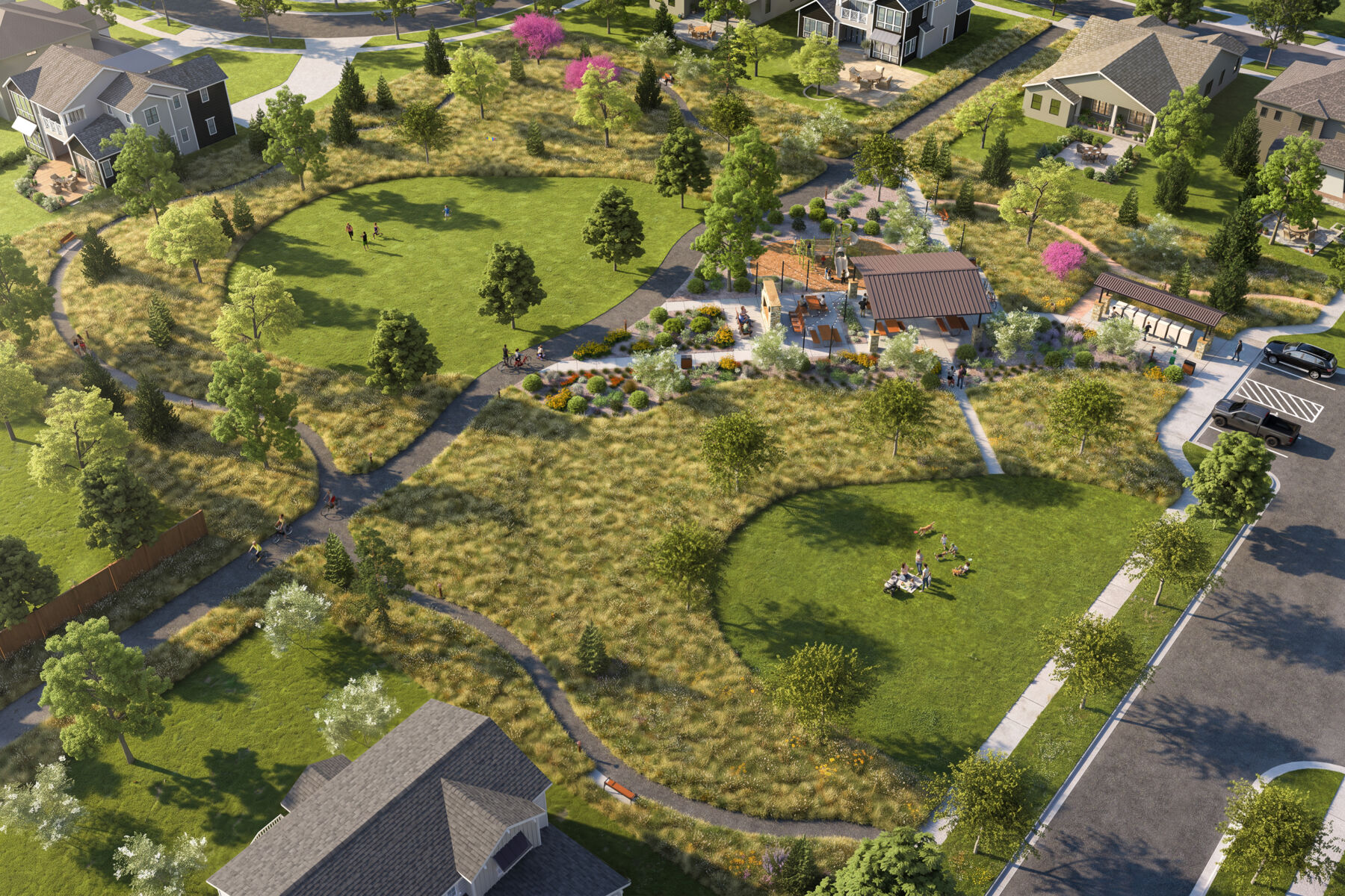 Neighborhood 