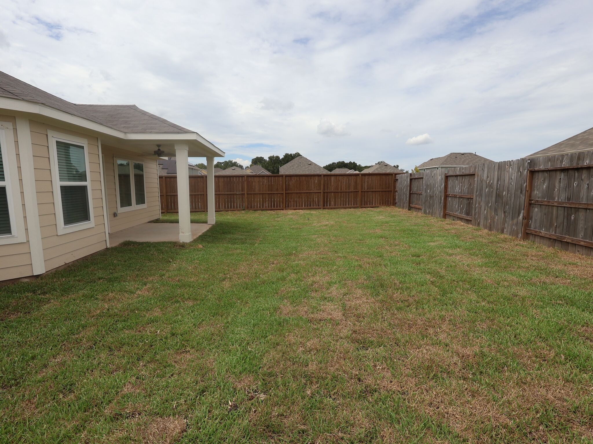 Backyard