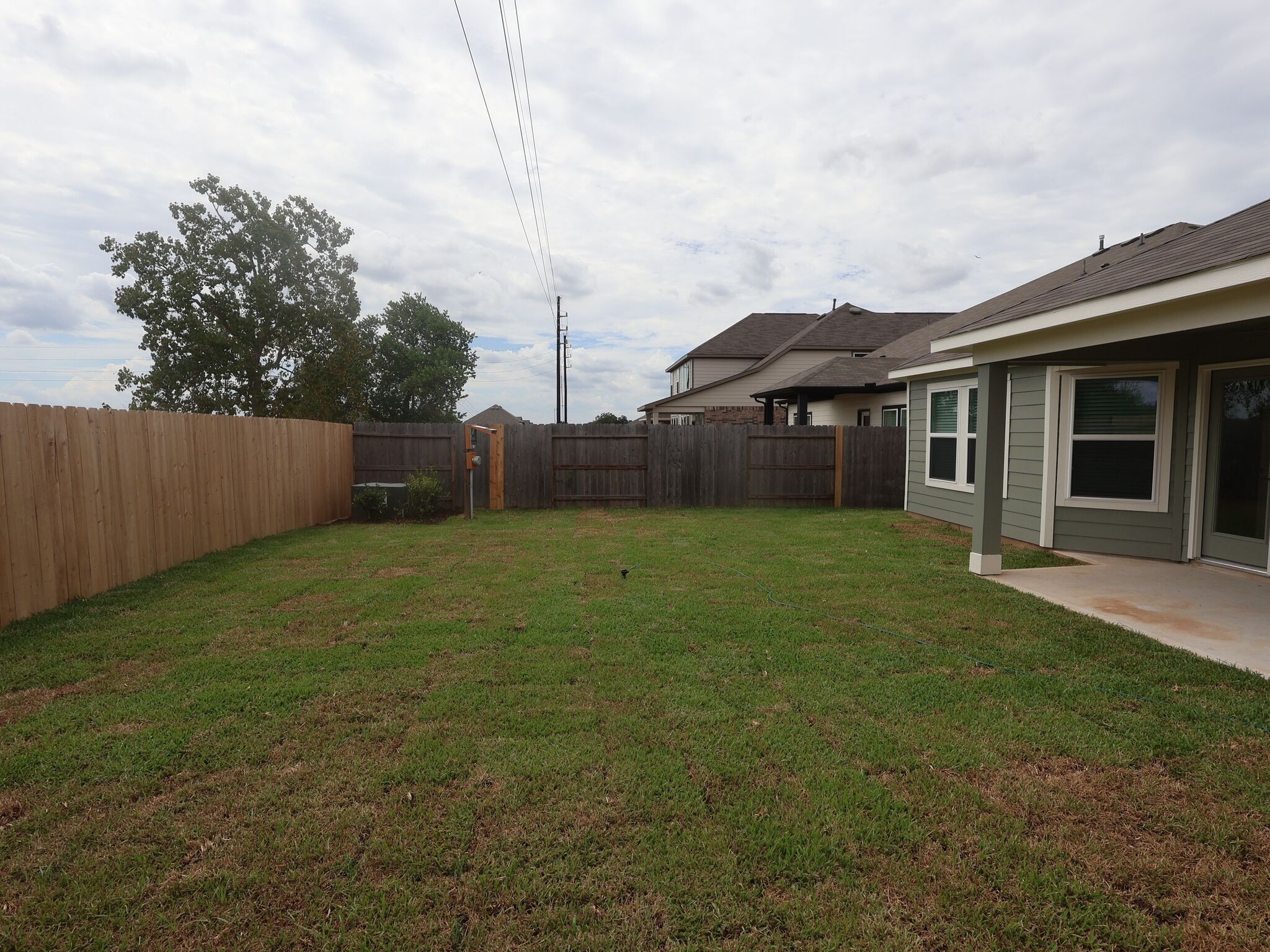 Backyard