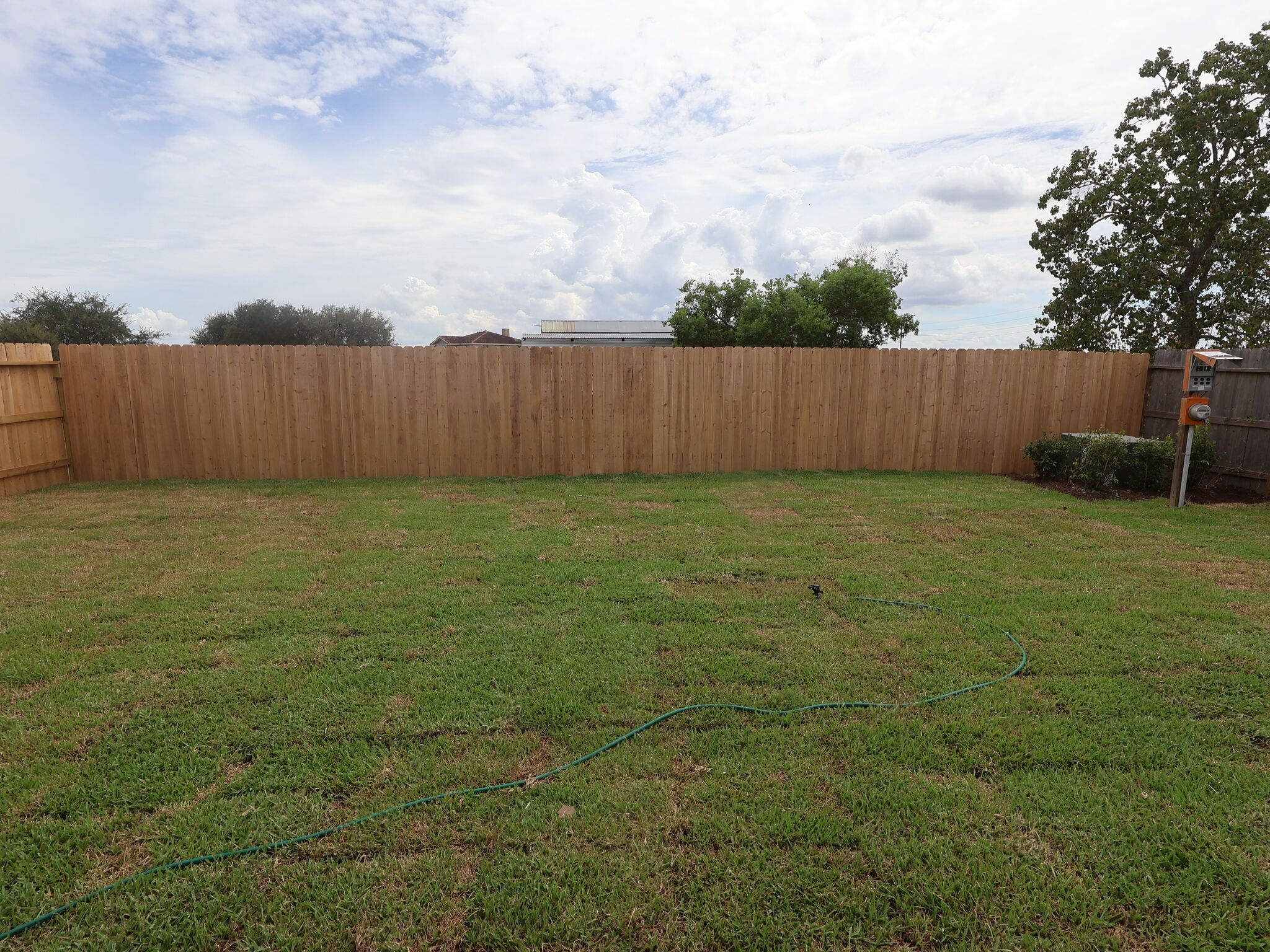 Backyard