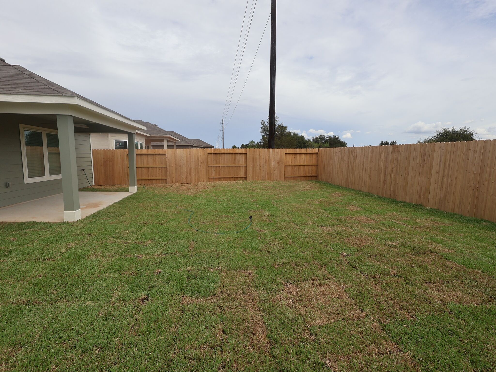 Backyard