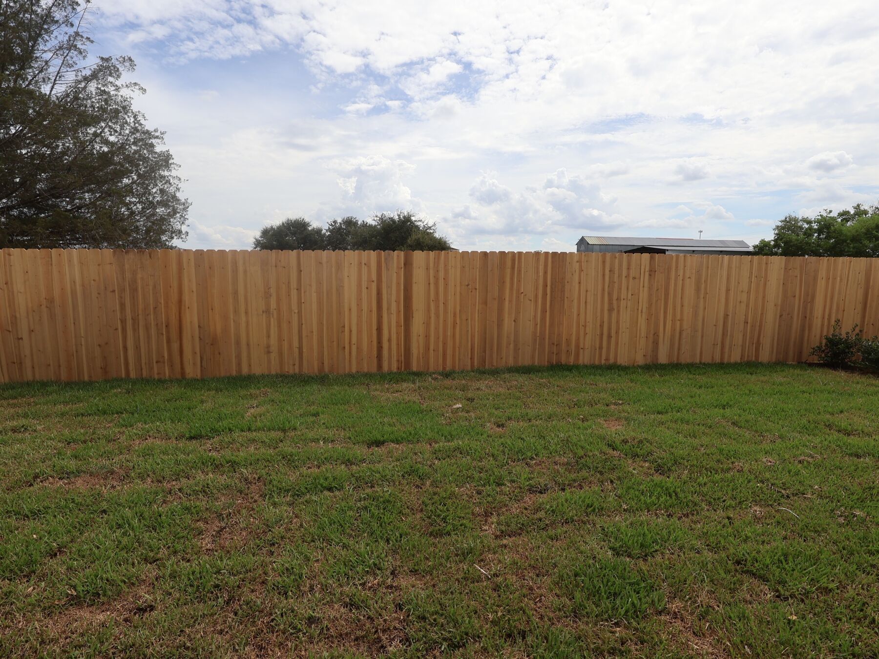 Backyard