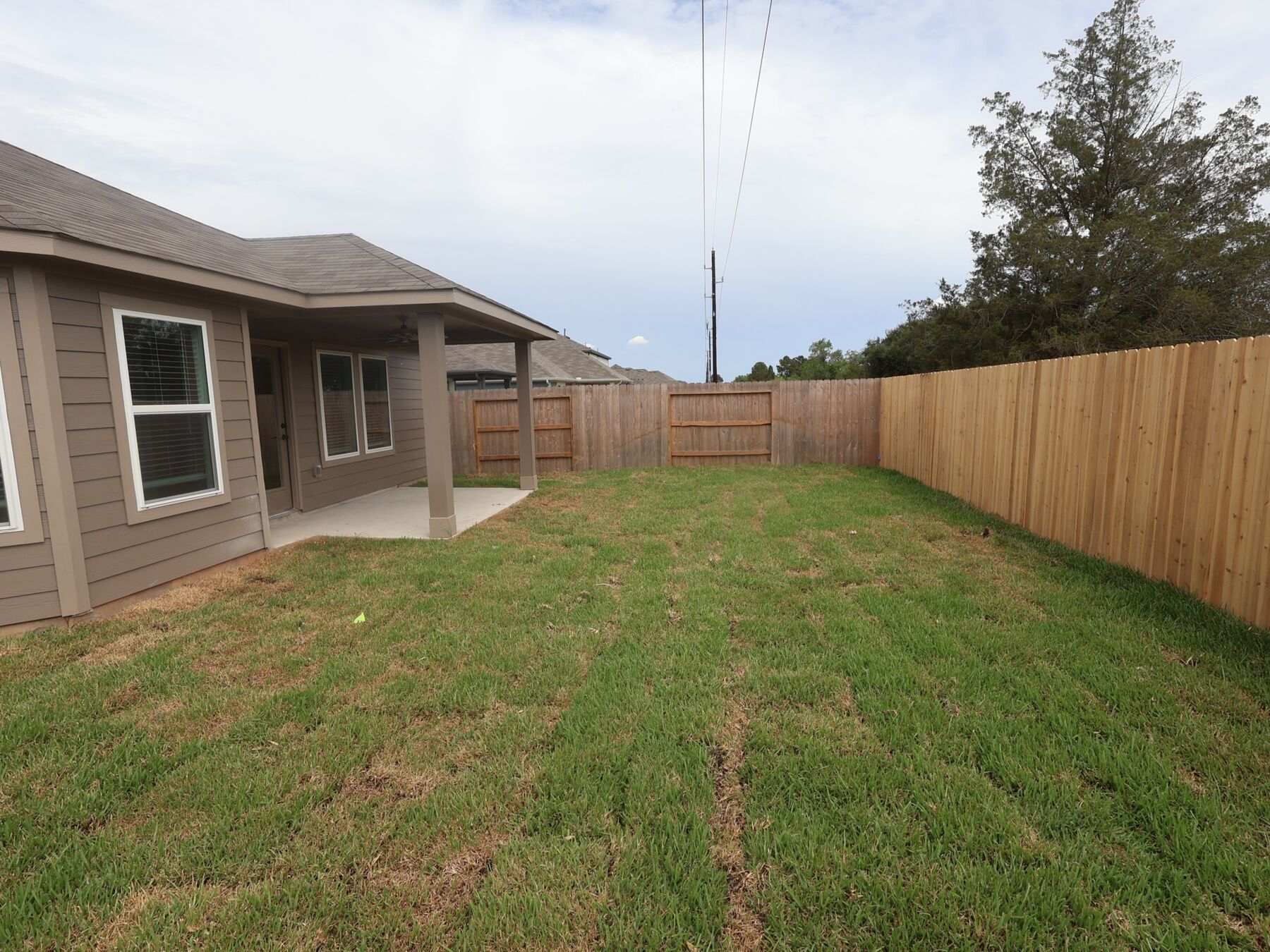 Backyard