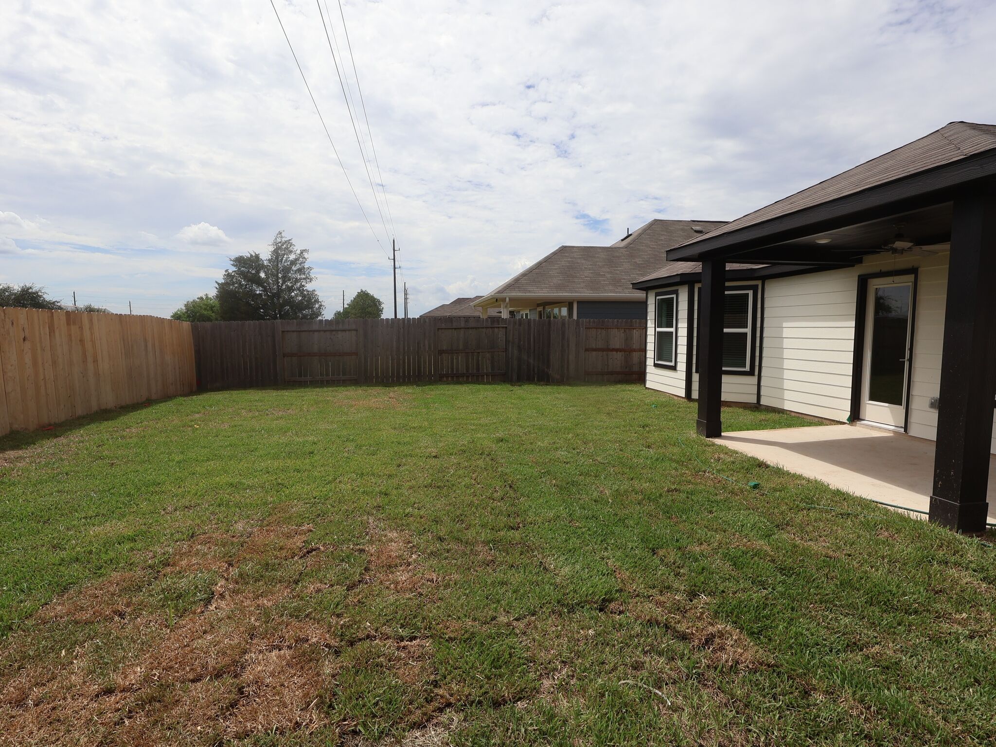 Backyard