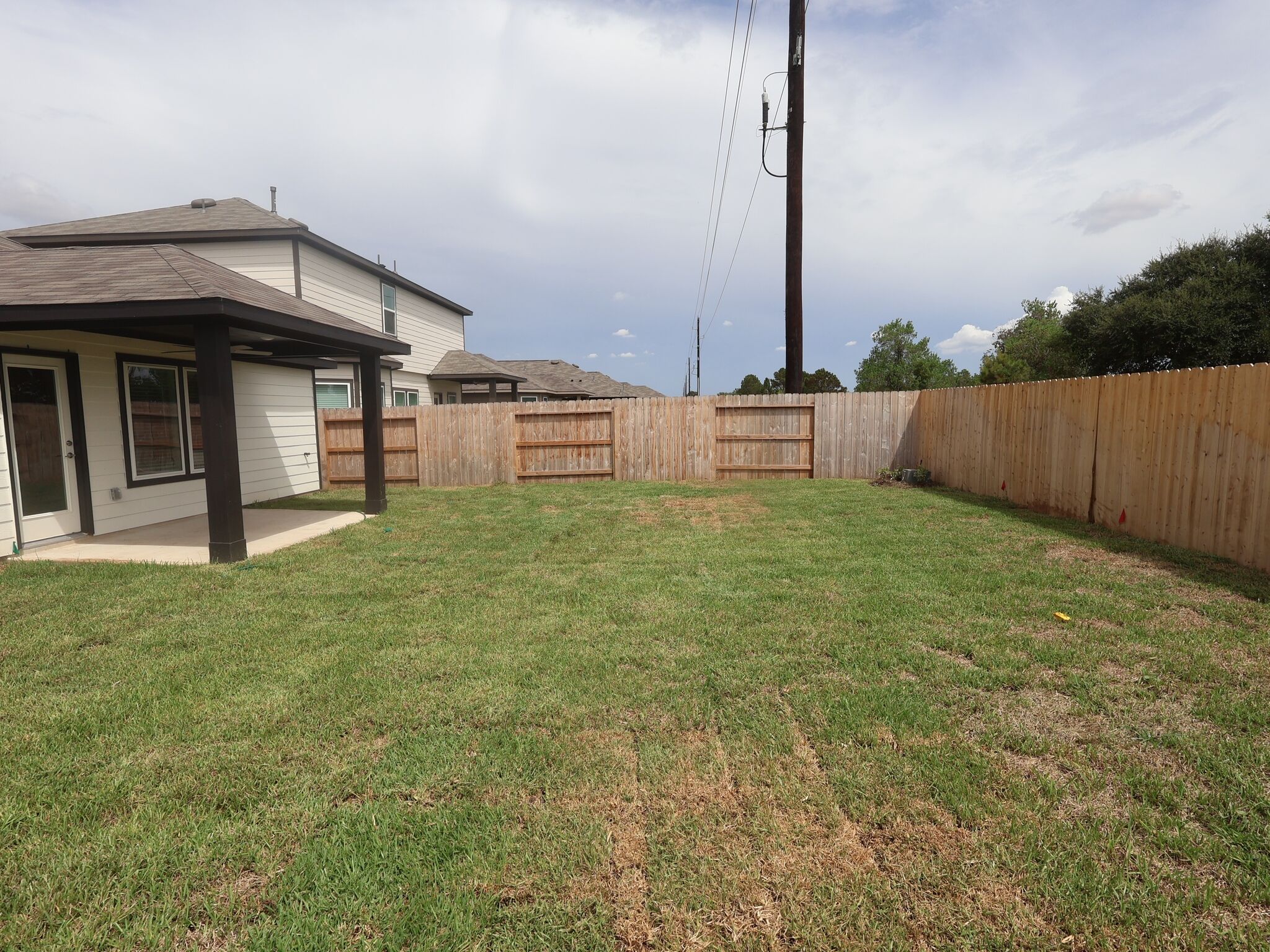 Backyard