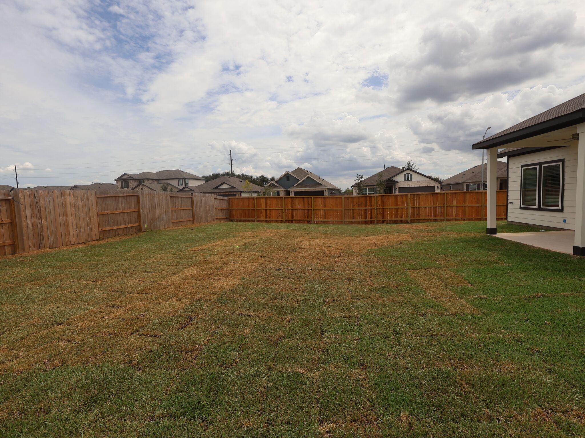 Backyard