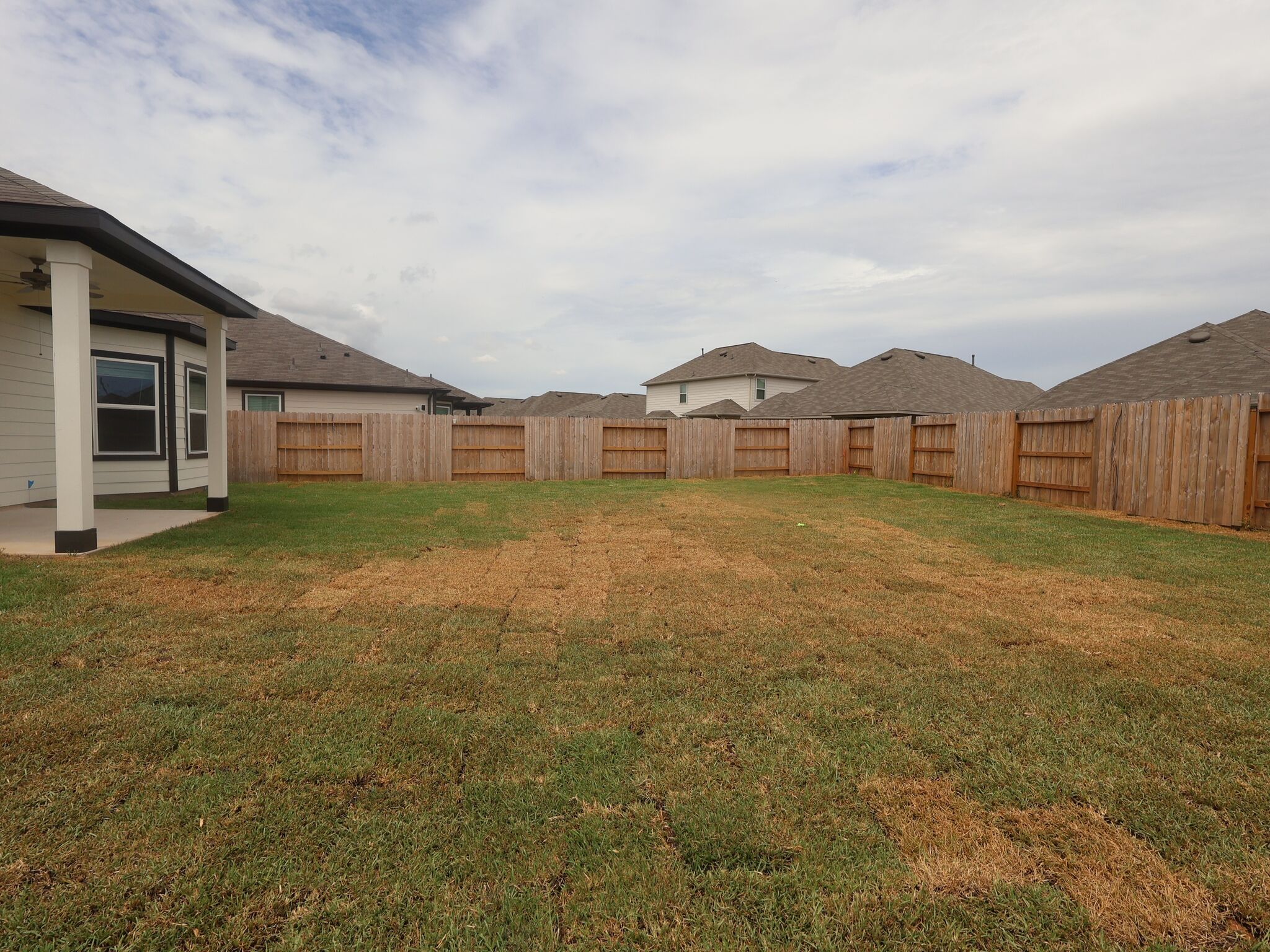 Backyard