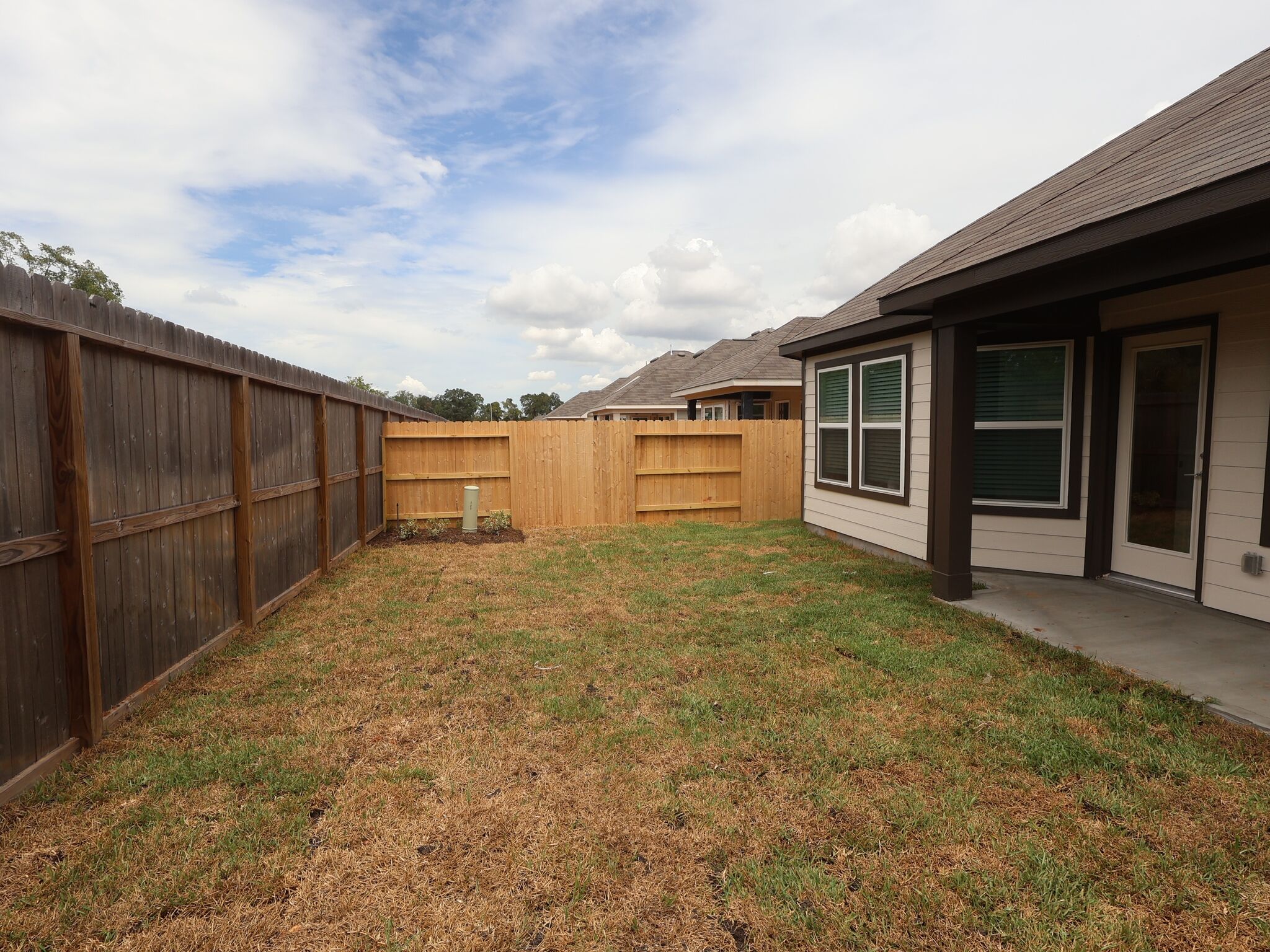 Backyard