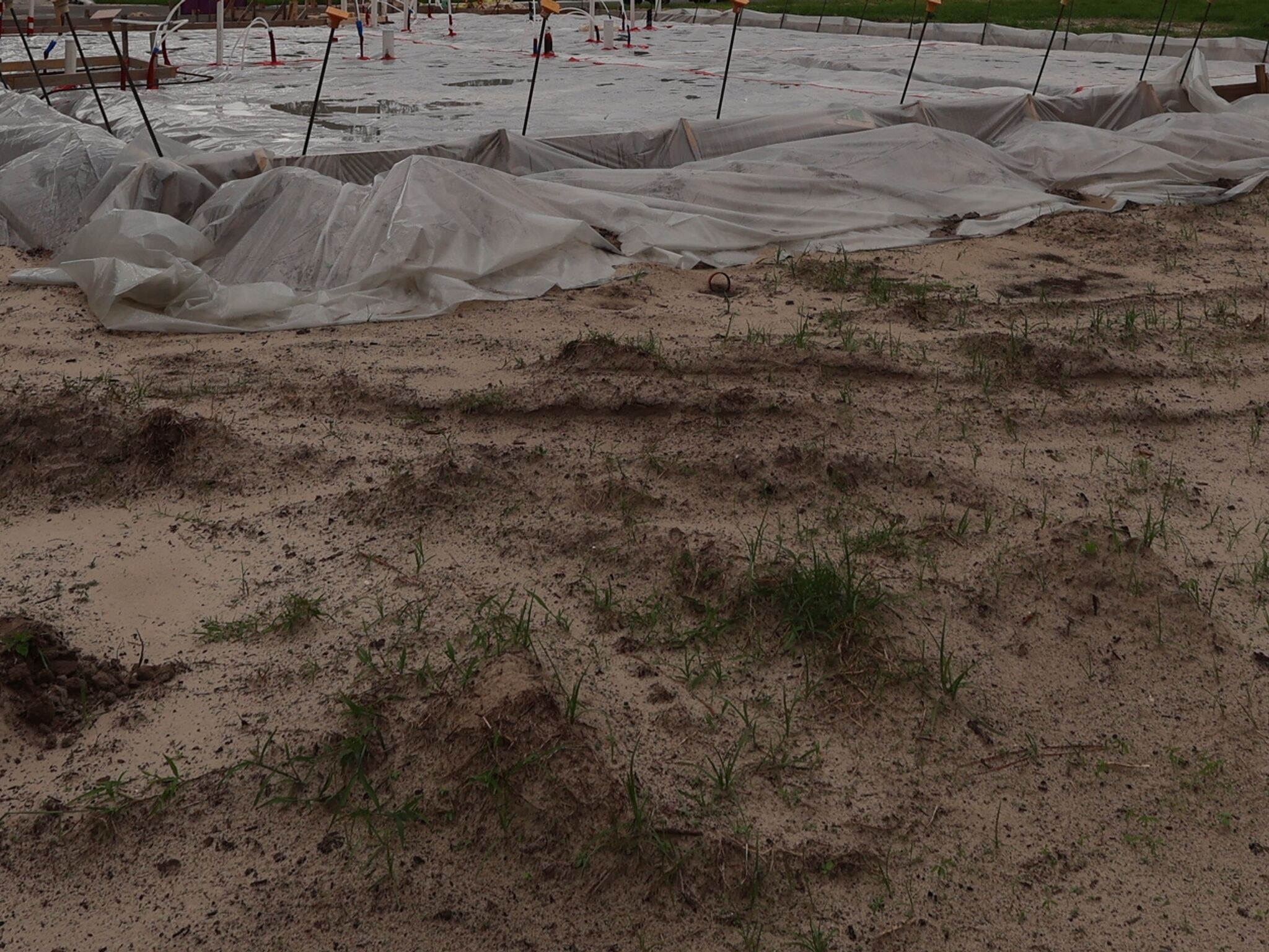 Homesite