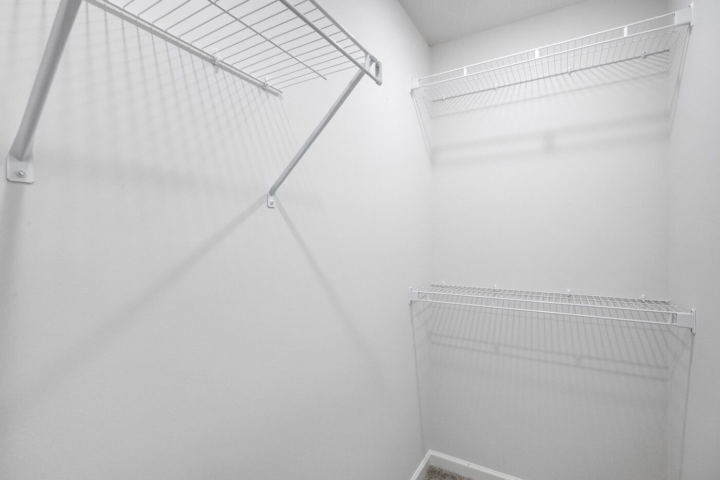 Owner's Closet