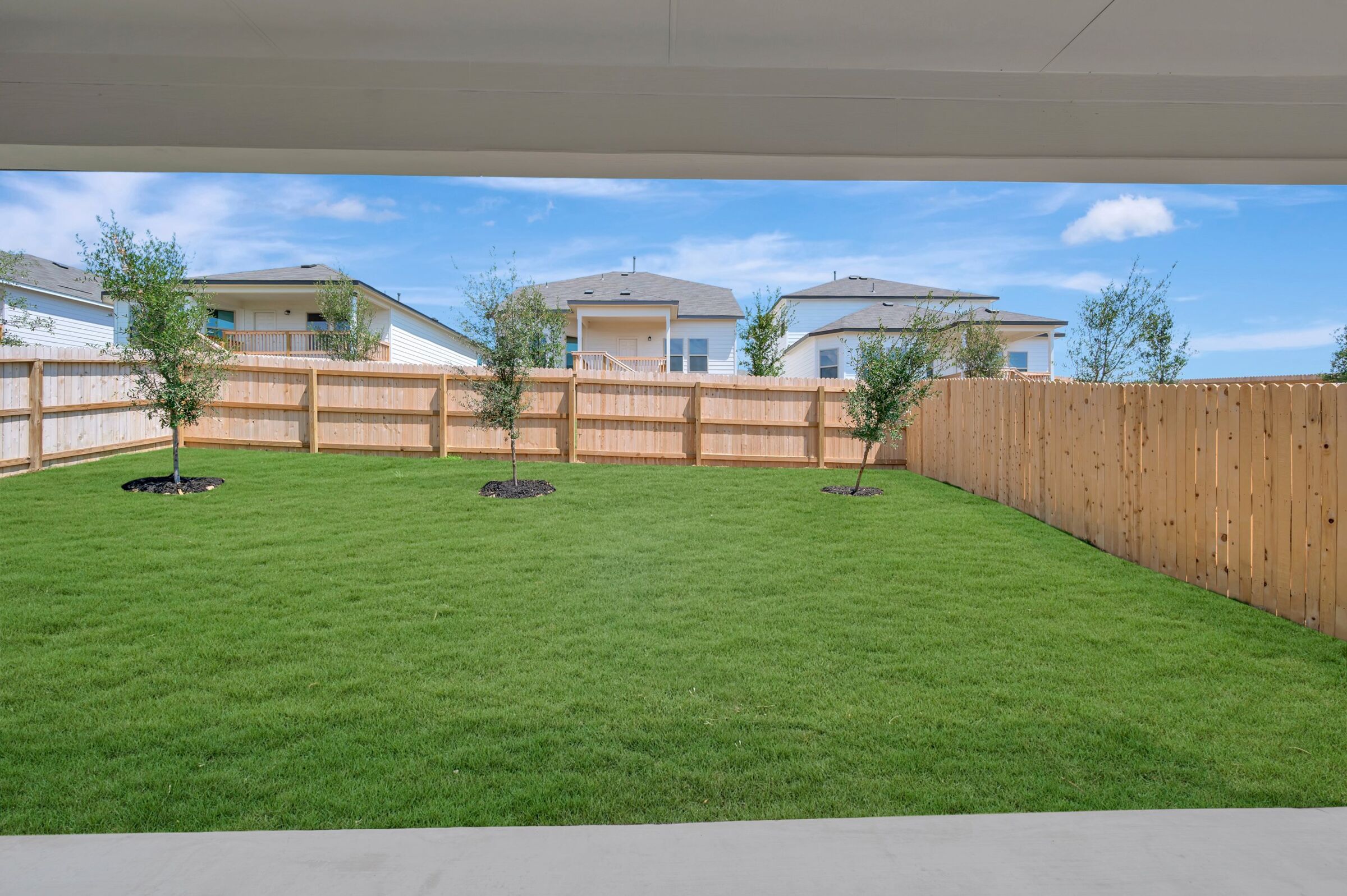 Backyard