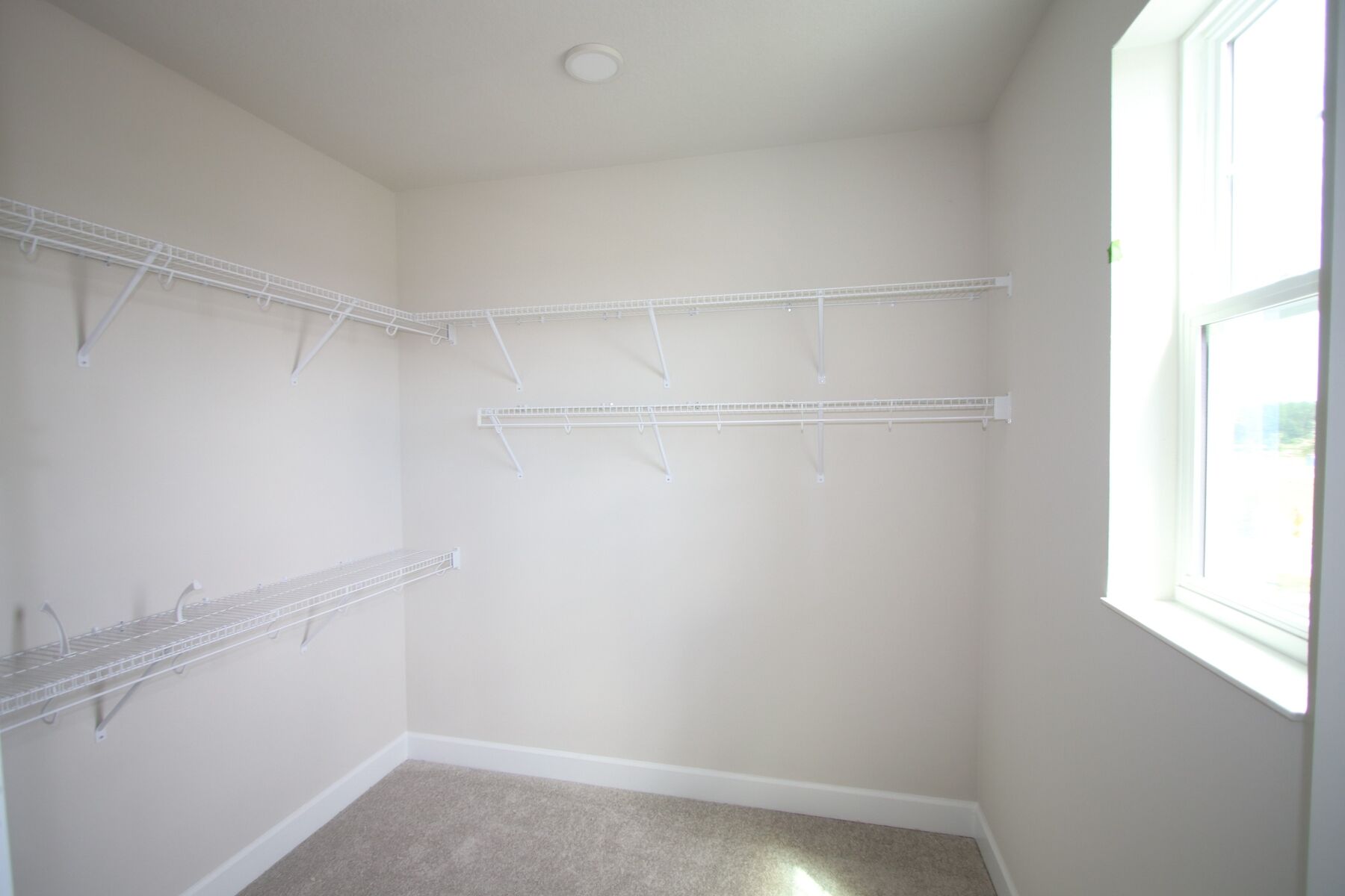 Owner's Closet