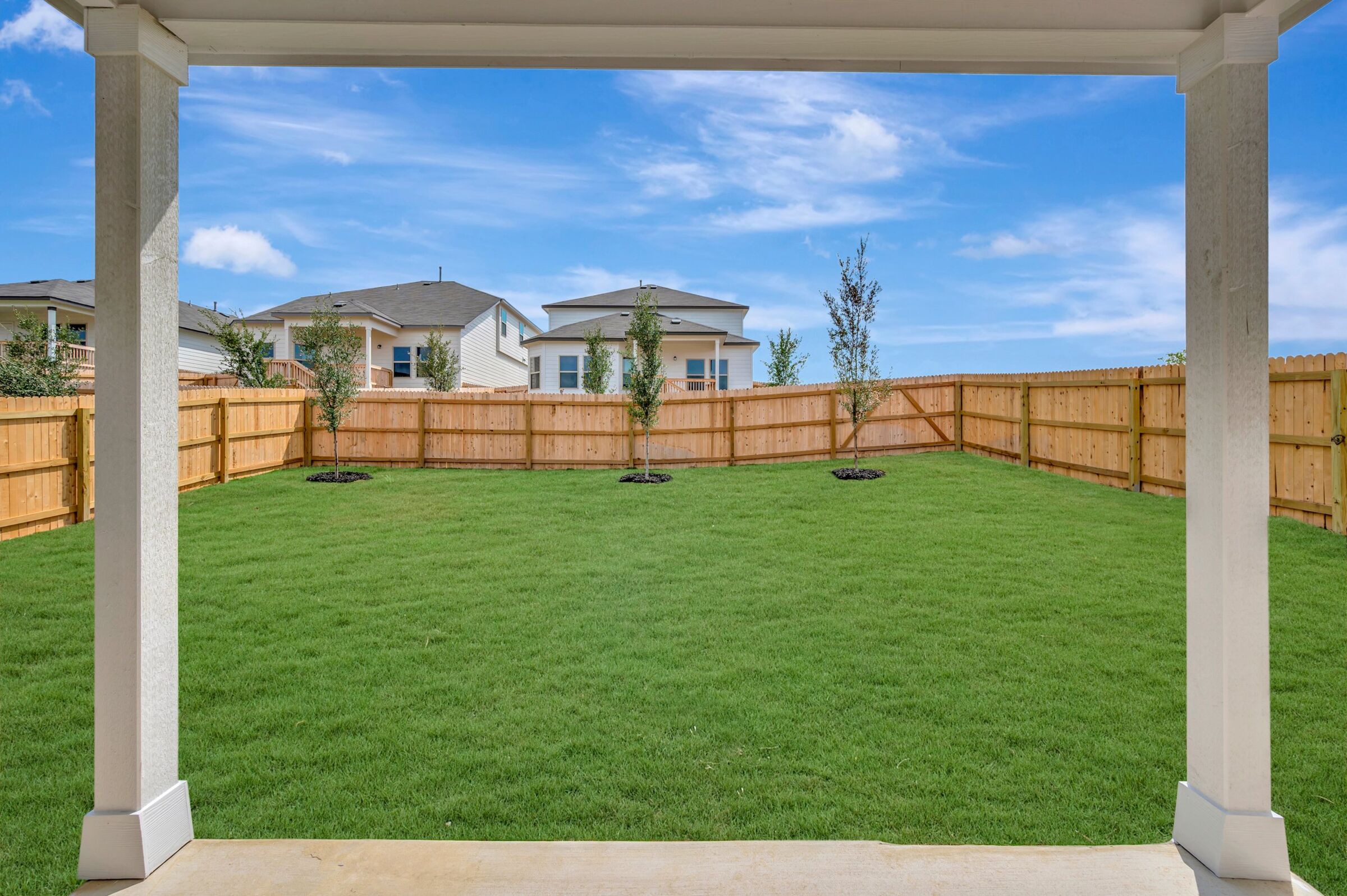 Backyard