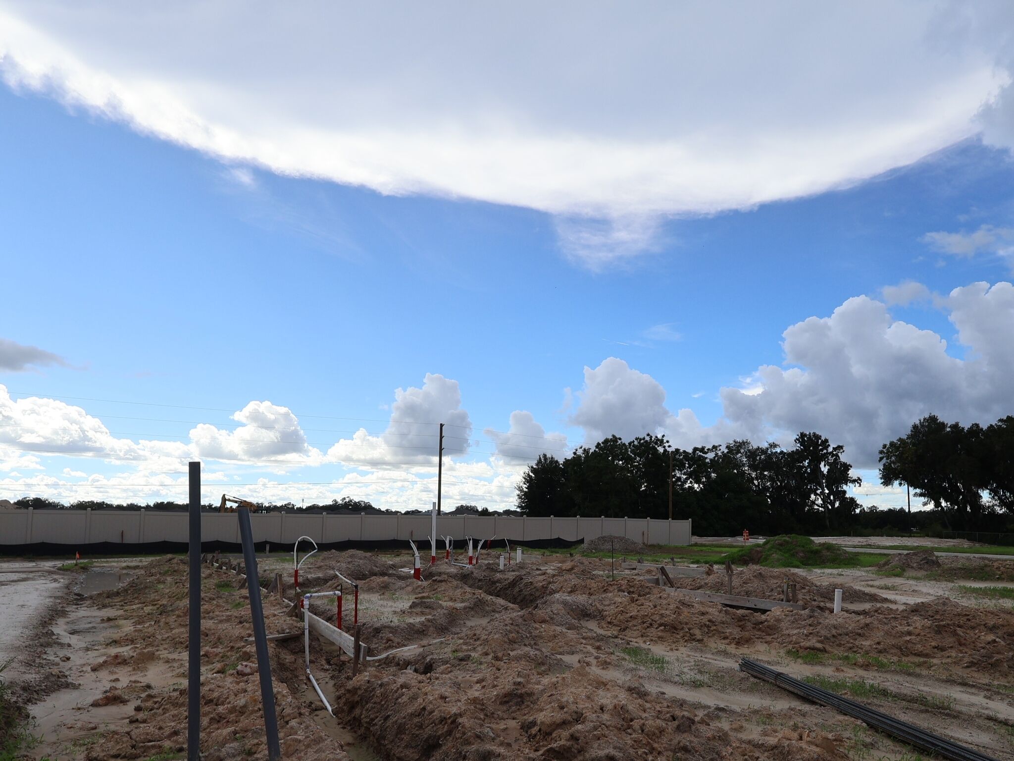 Homesite