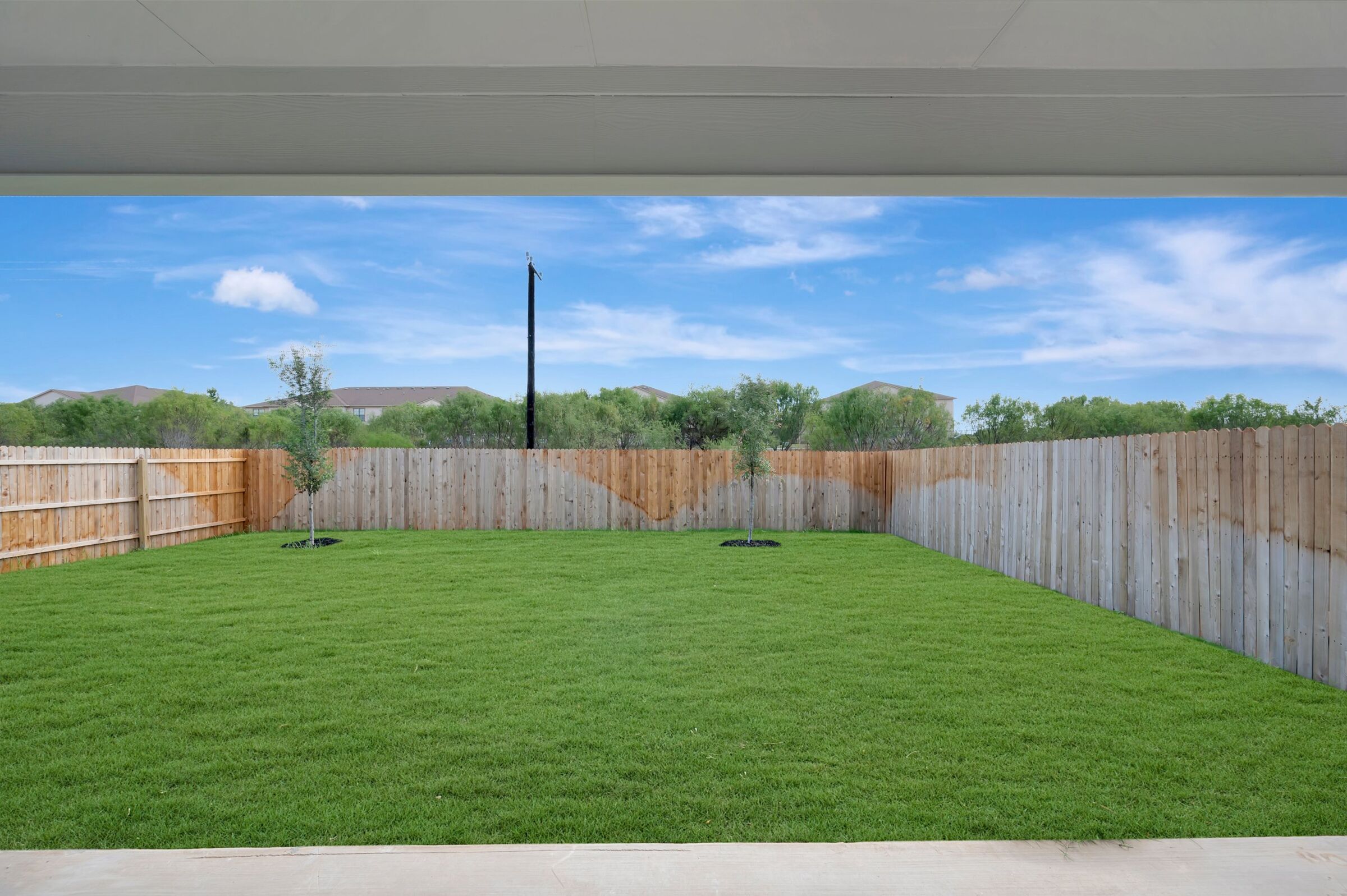 Backyard