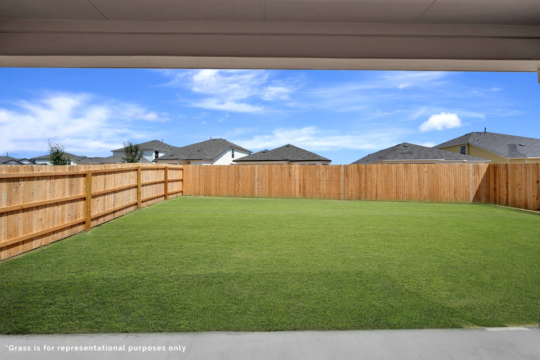 Representational Grass Images