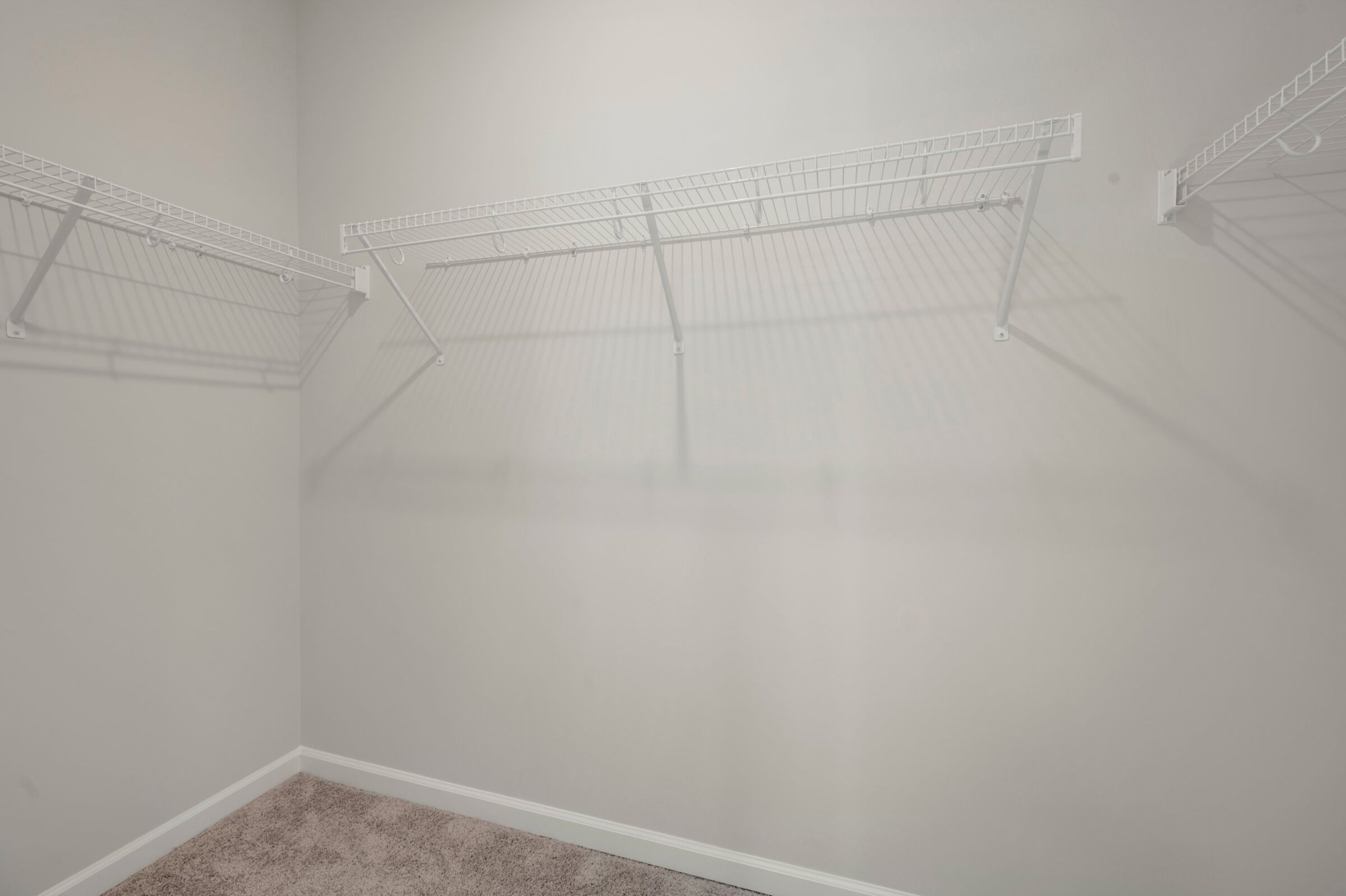 Owner's Closet