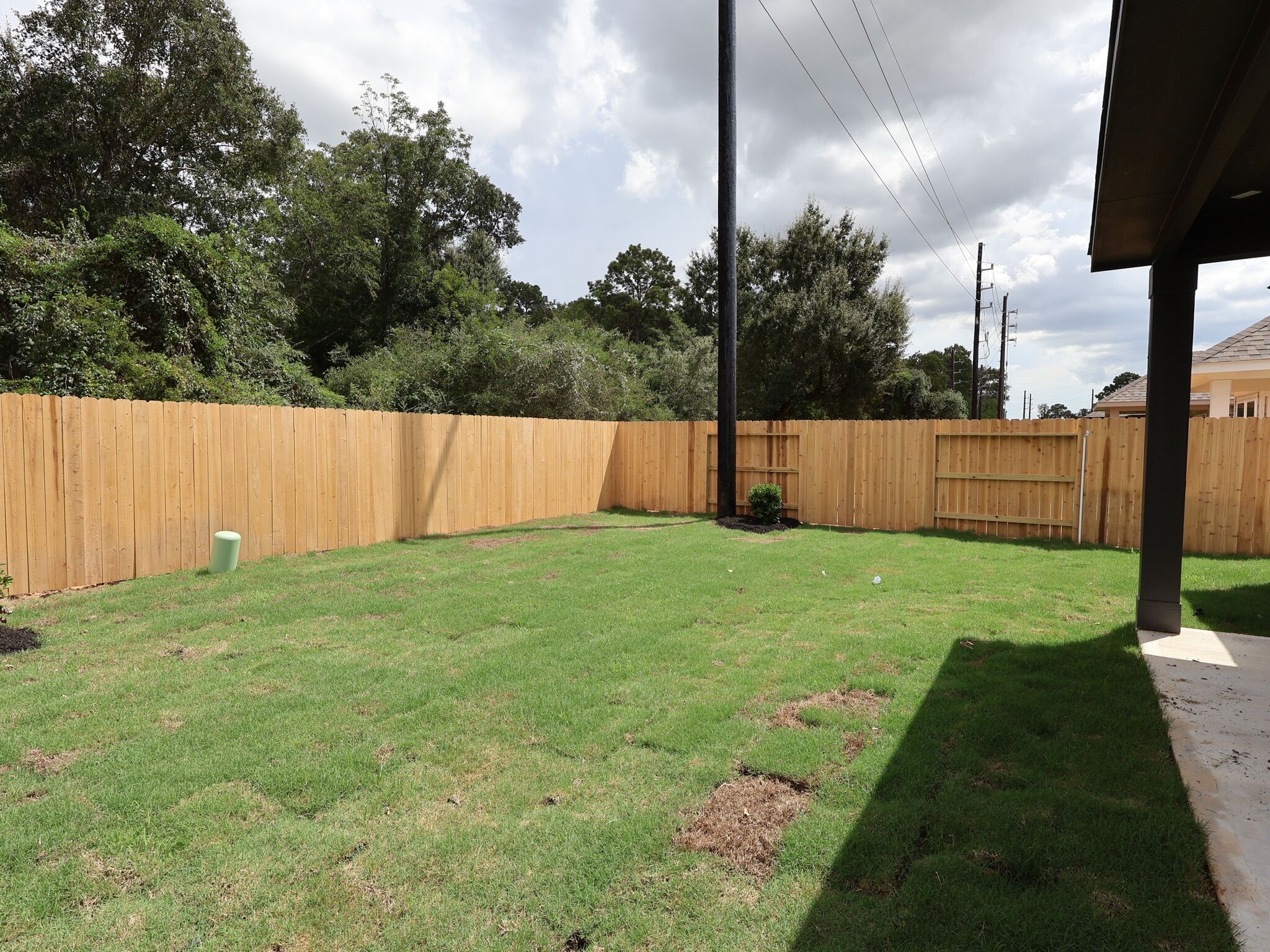 Backyard