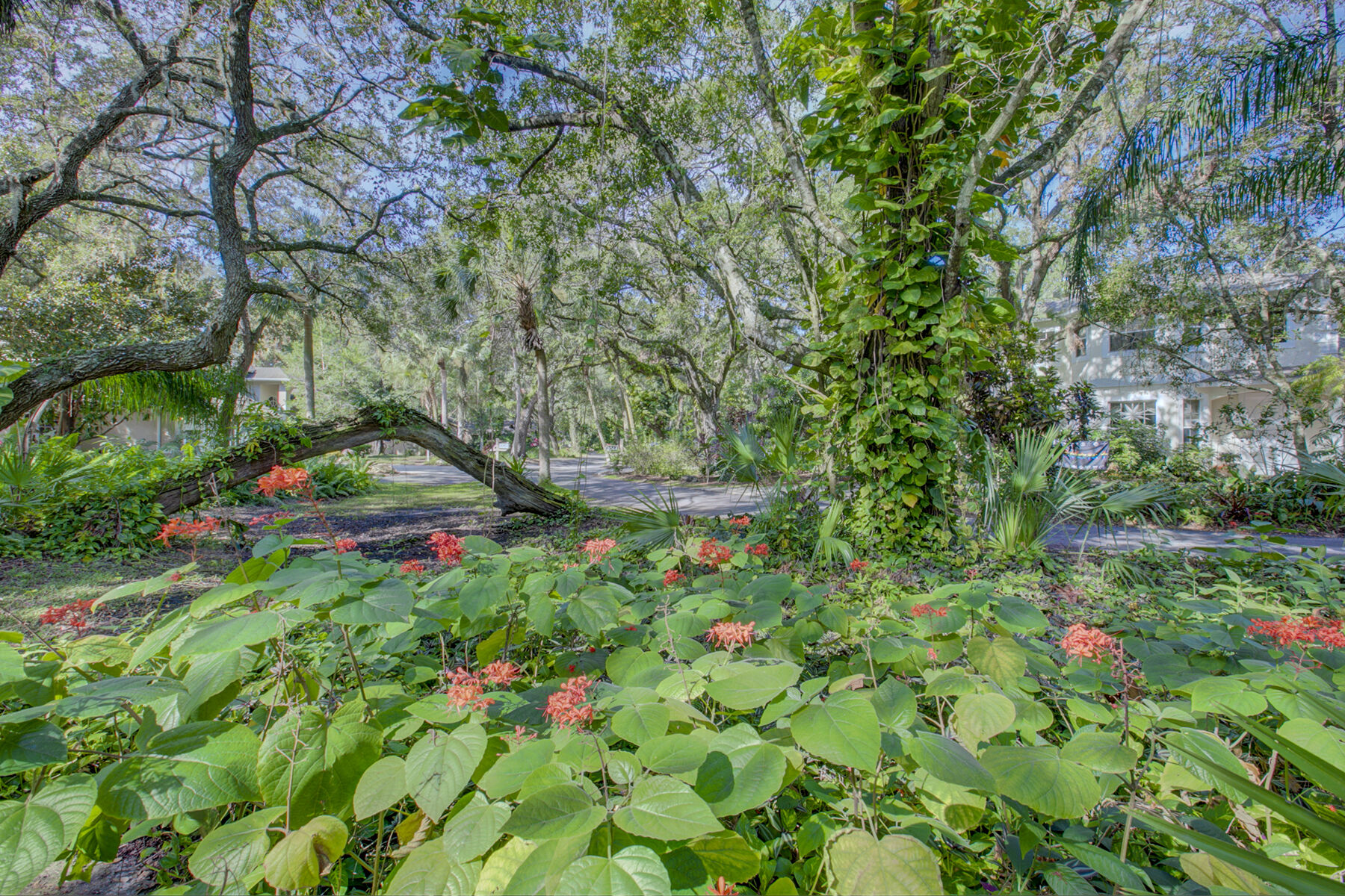 Sylvan Lea Streetscape