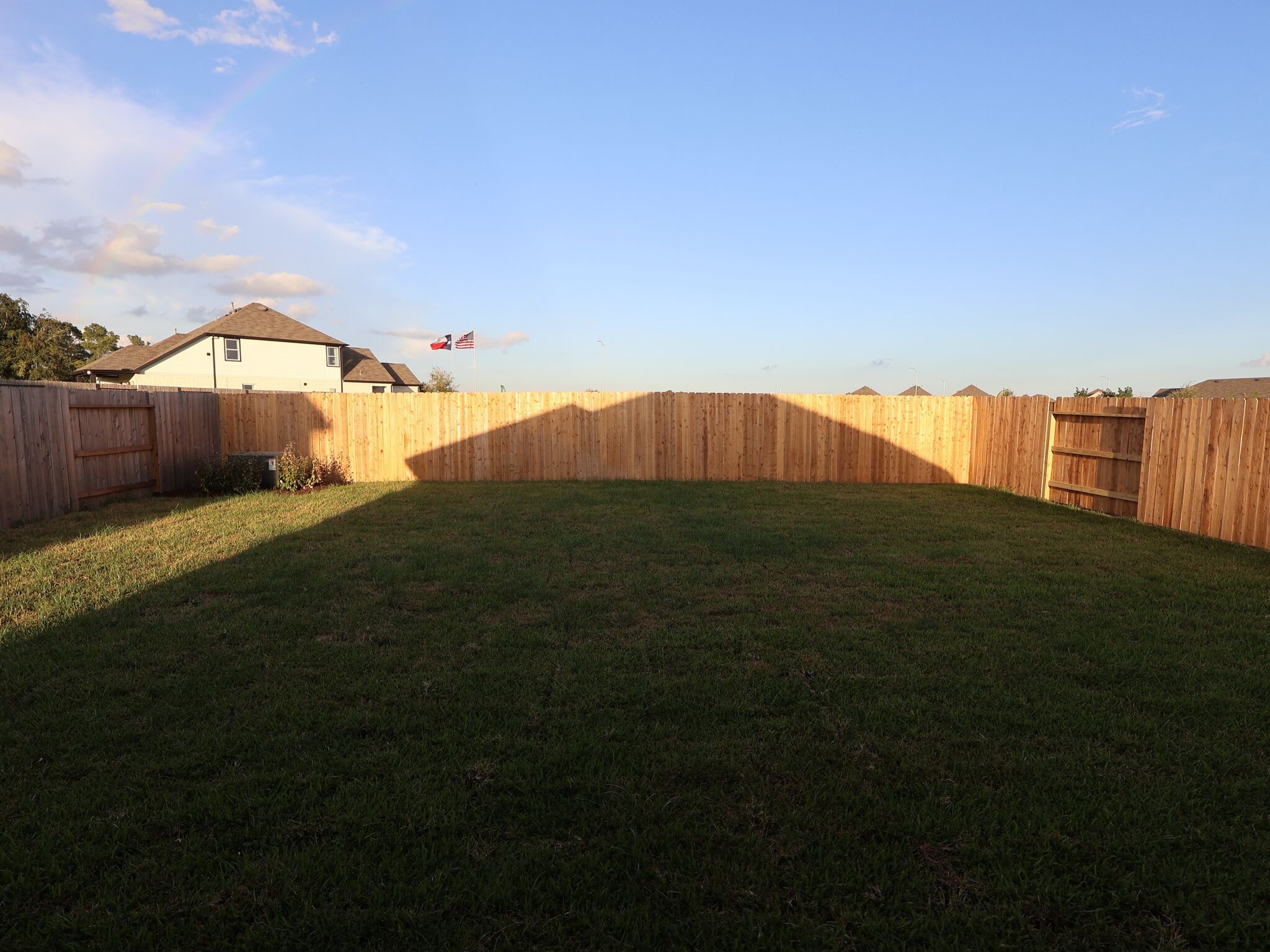 Backyard