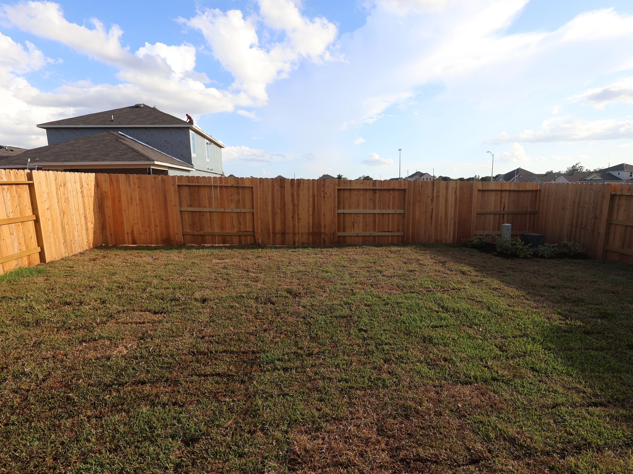 Backyard