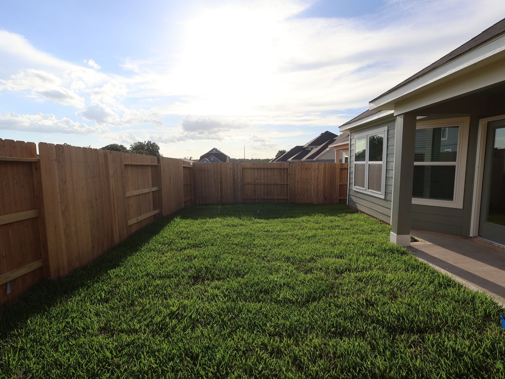 Backyard