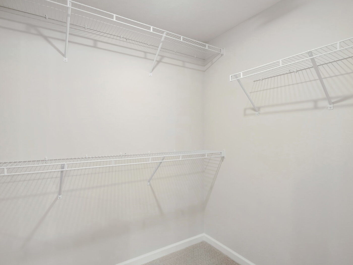 Owner's Closet 